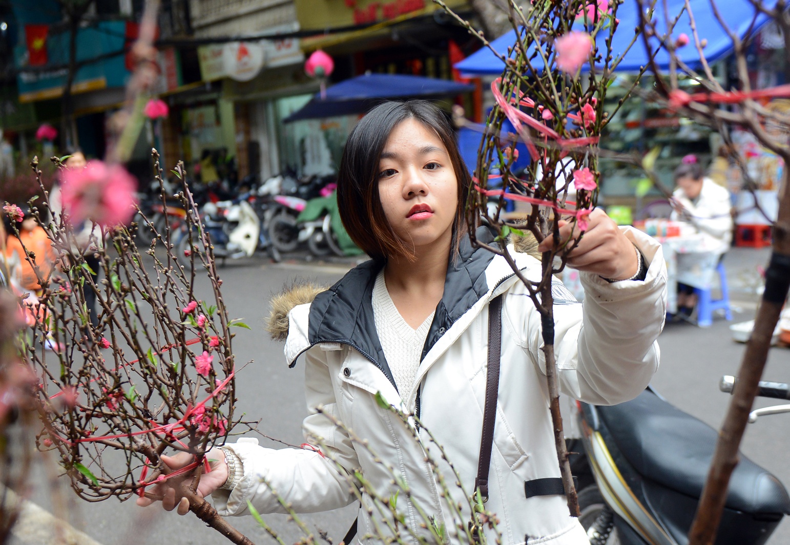 Cho hoa pho co Ha thanh tap nap dip can Tet hinh anh