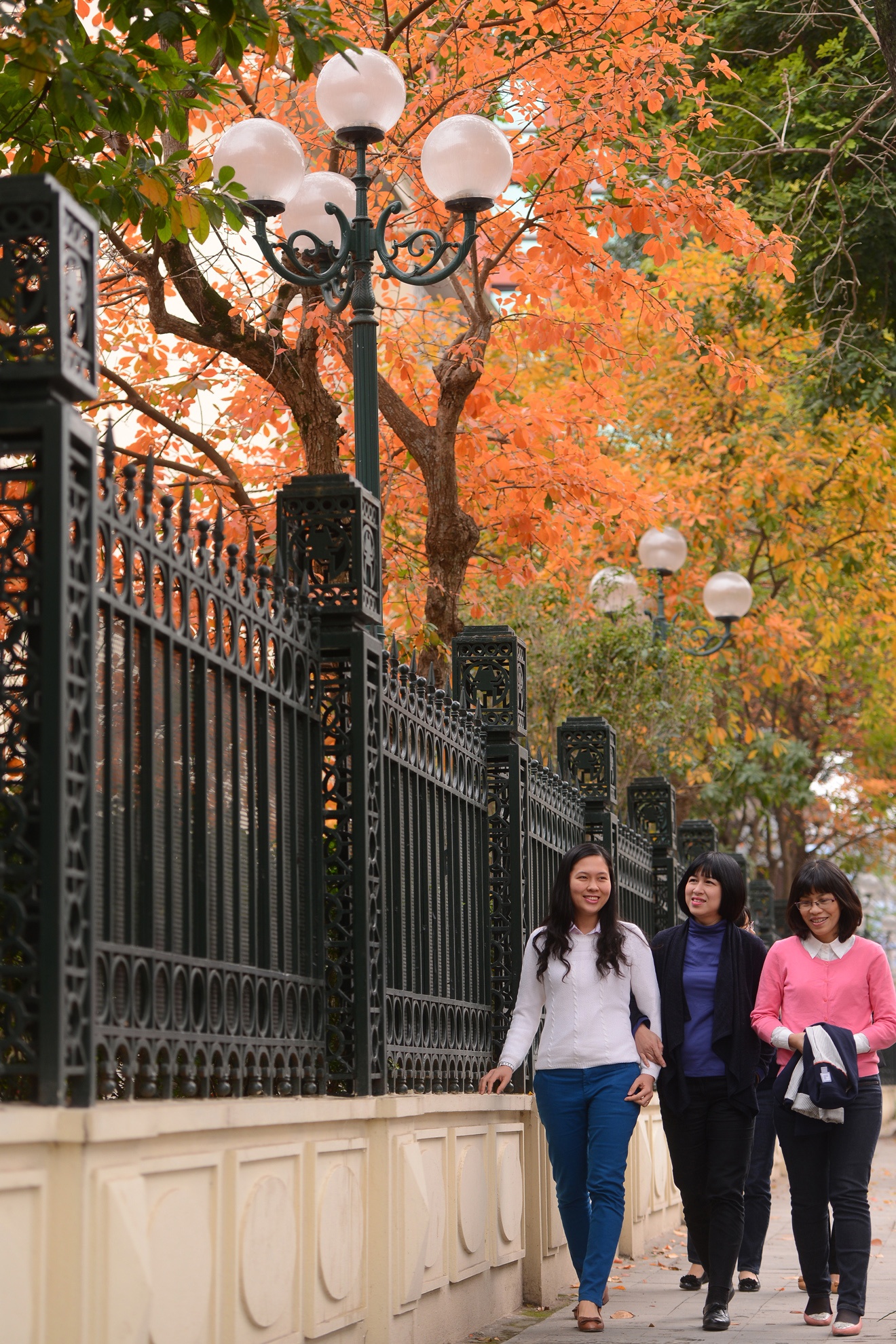 Mua loc vung thay la anh 4