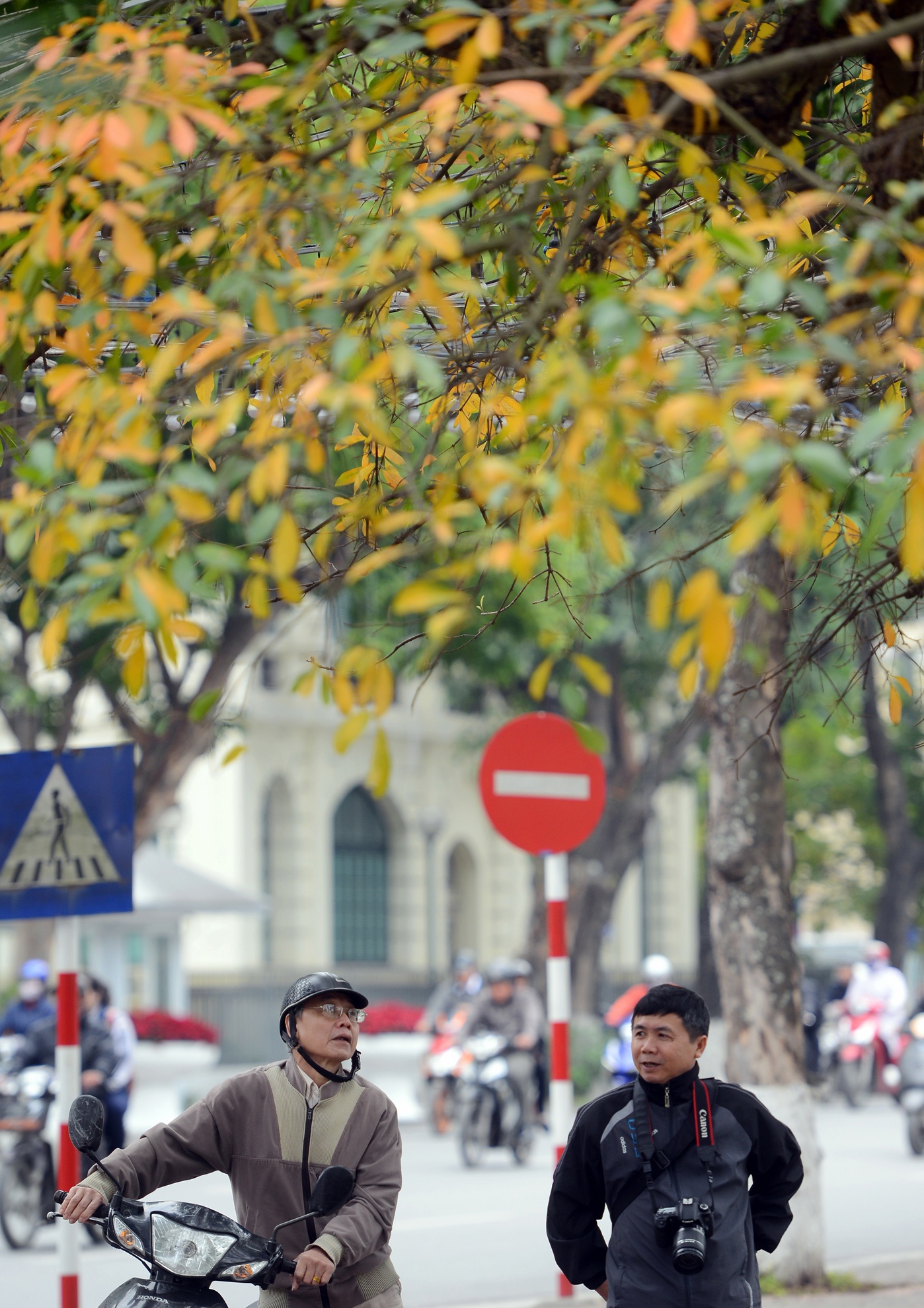 Mua loc vung thay la anh 10