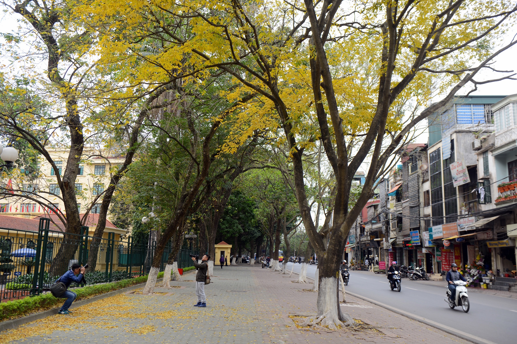 Mua loc vung thay la anh 11