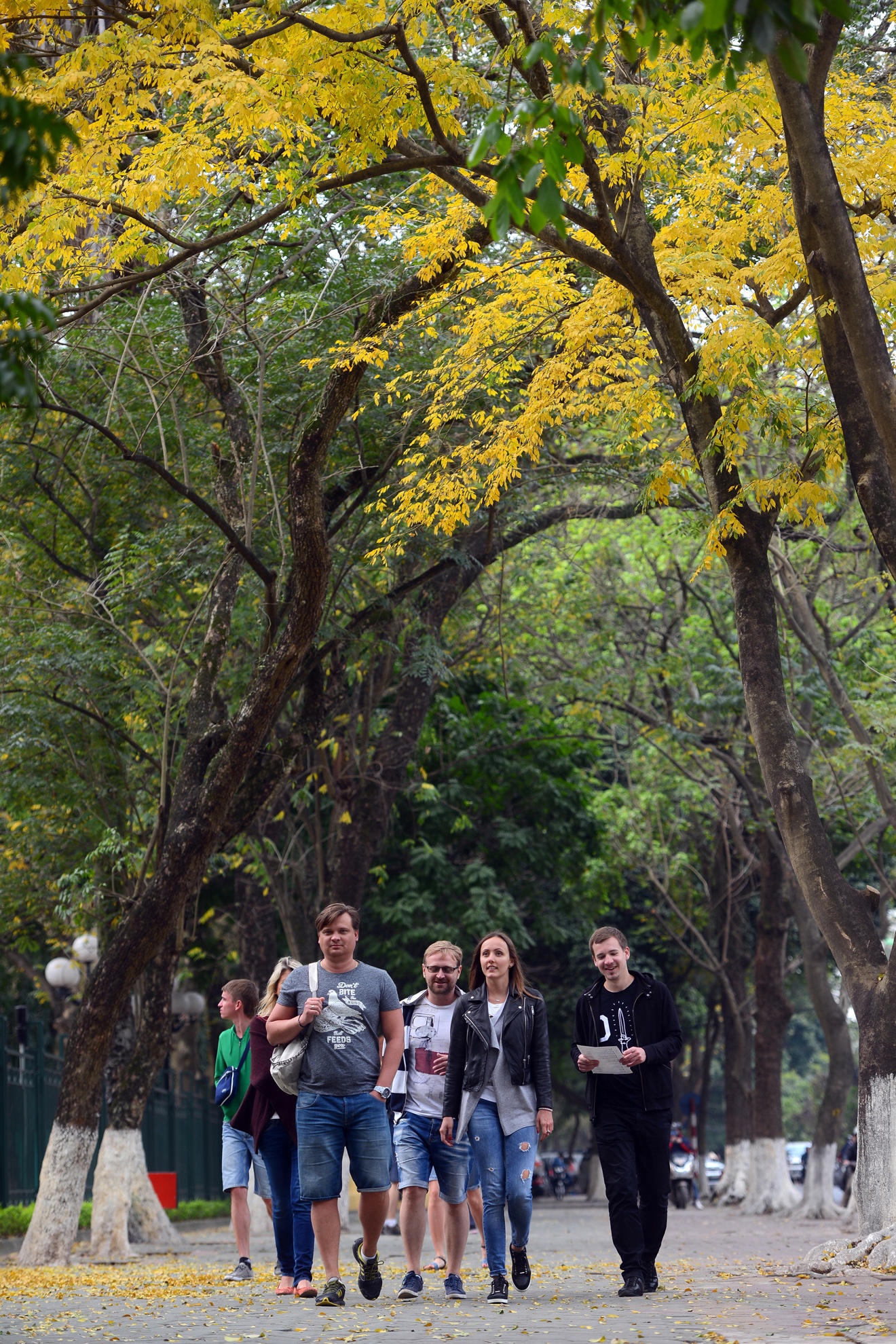 Mua loc vung thay la anh 12