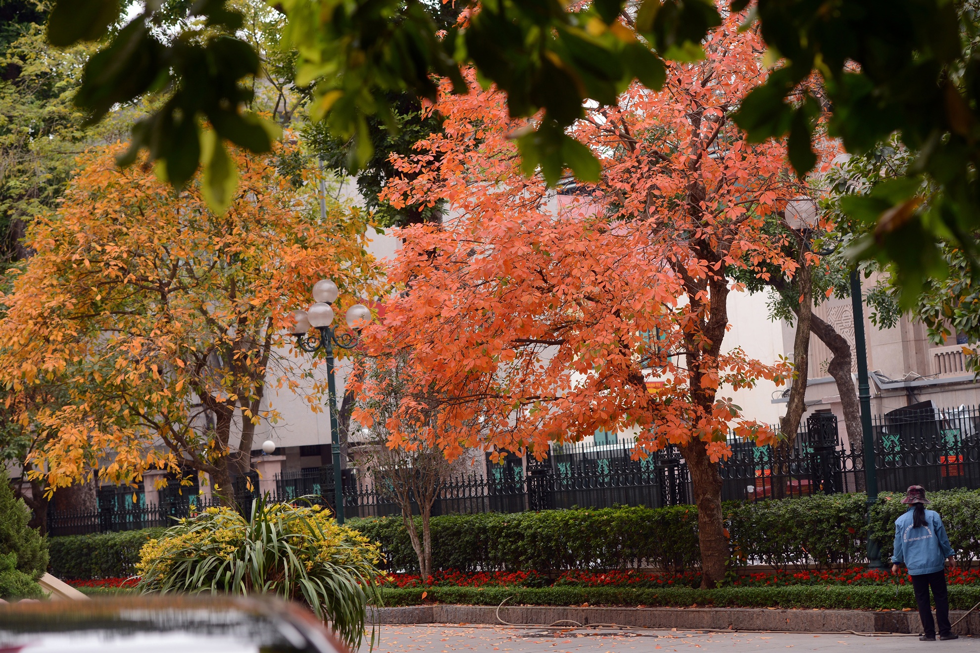 Mua loc vung thay la anh 1