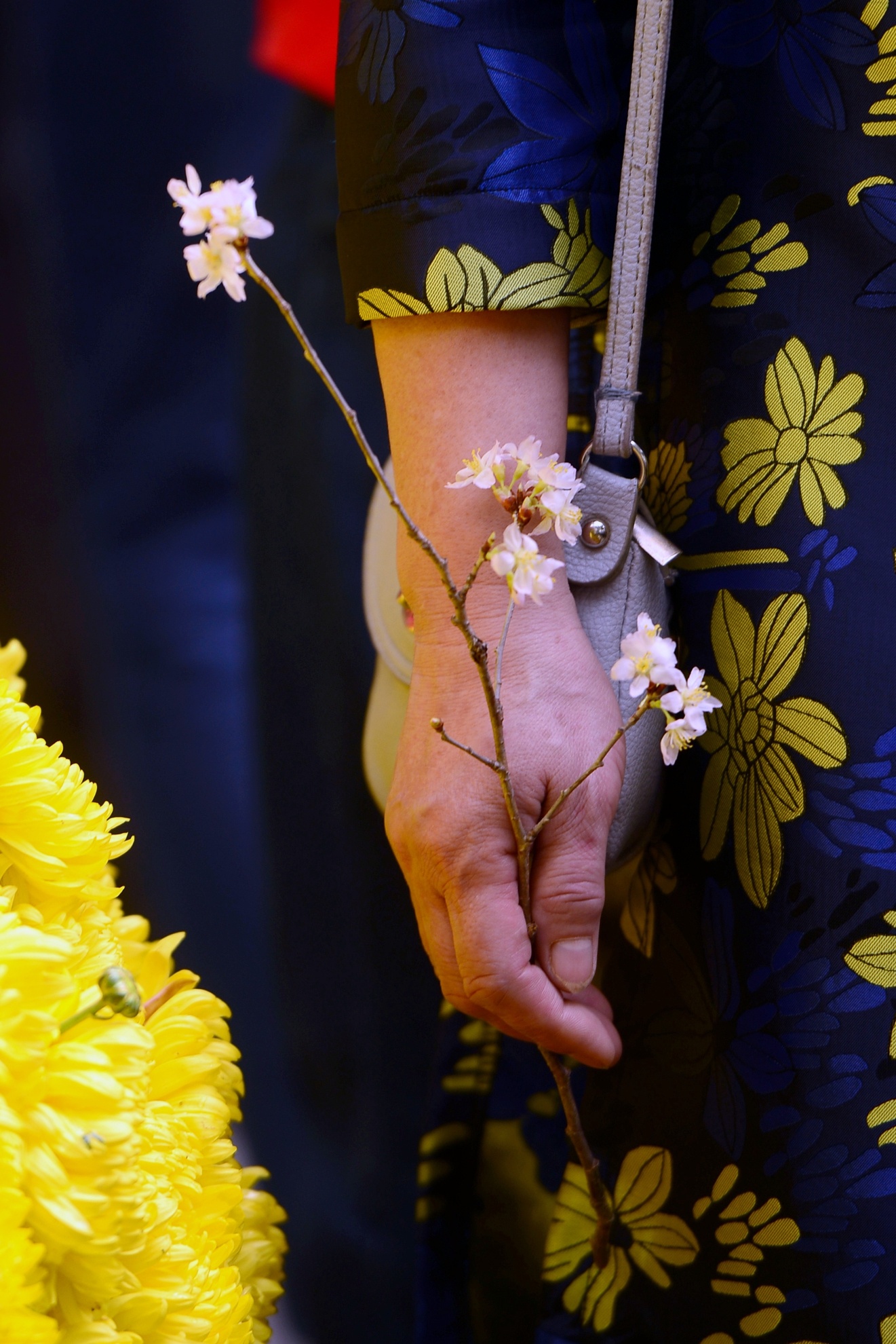 Hoa anh dao Nhat Ban anh 18