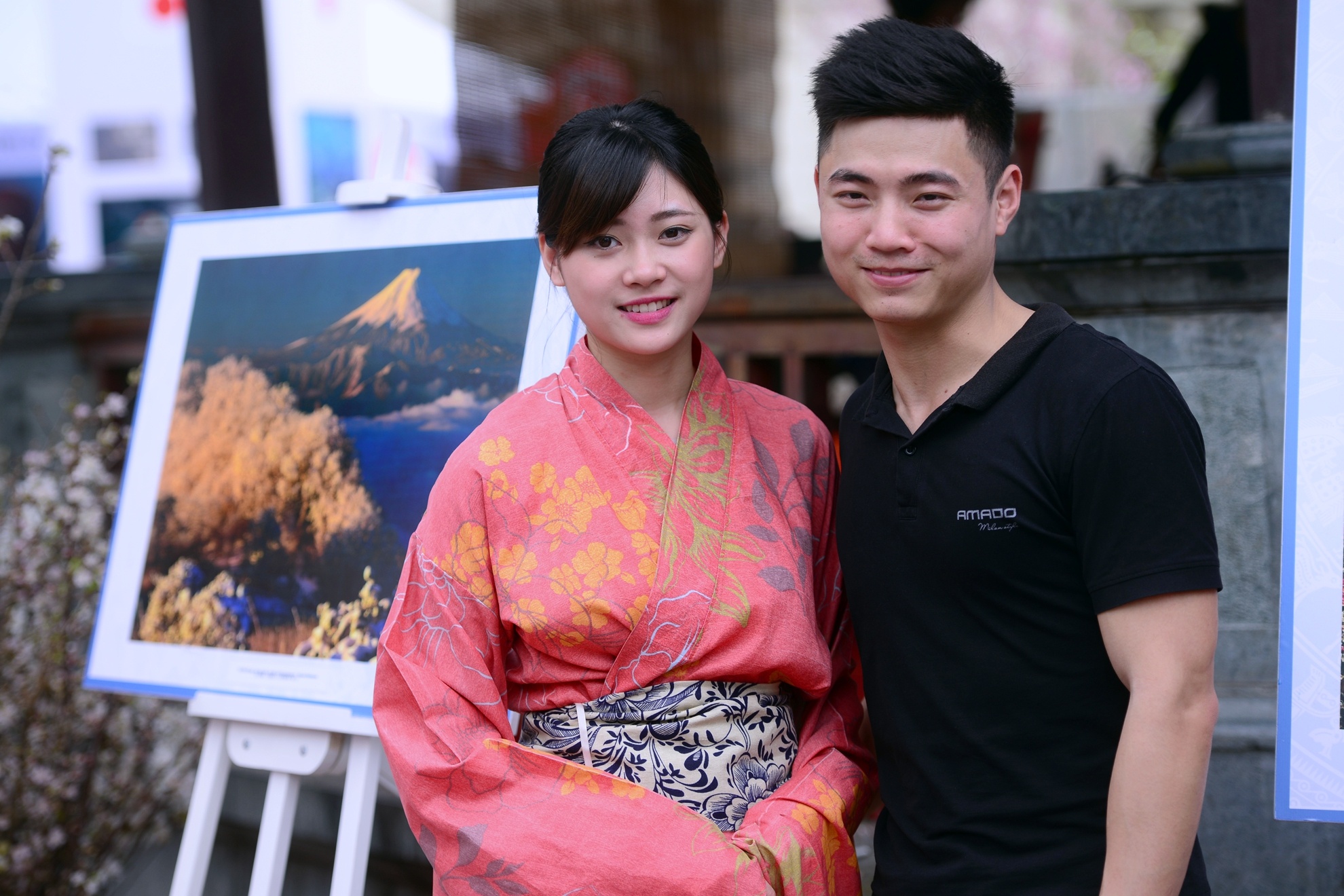 Hoa anh dao Nhat Ban anh 12