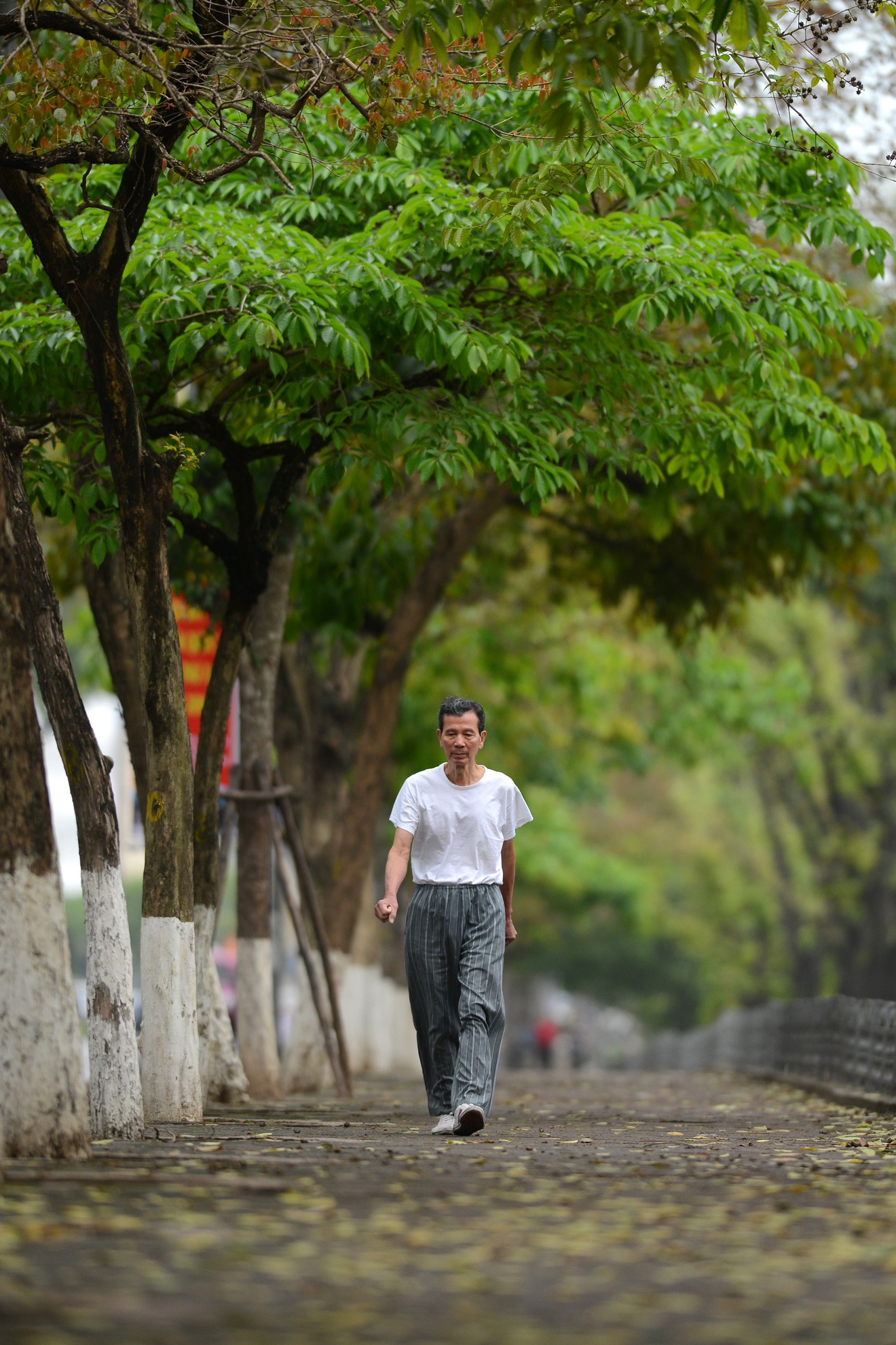 Nguoi Ha Noi don ret nang Ban anh 4