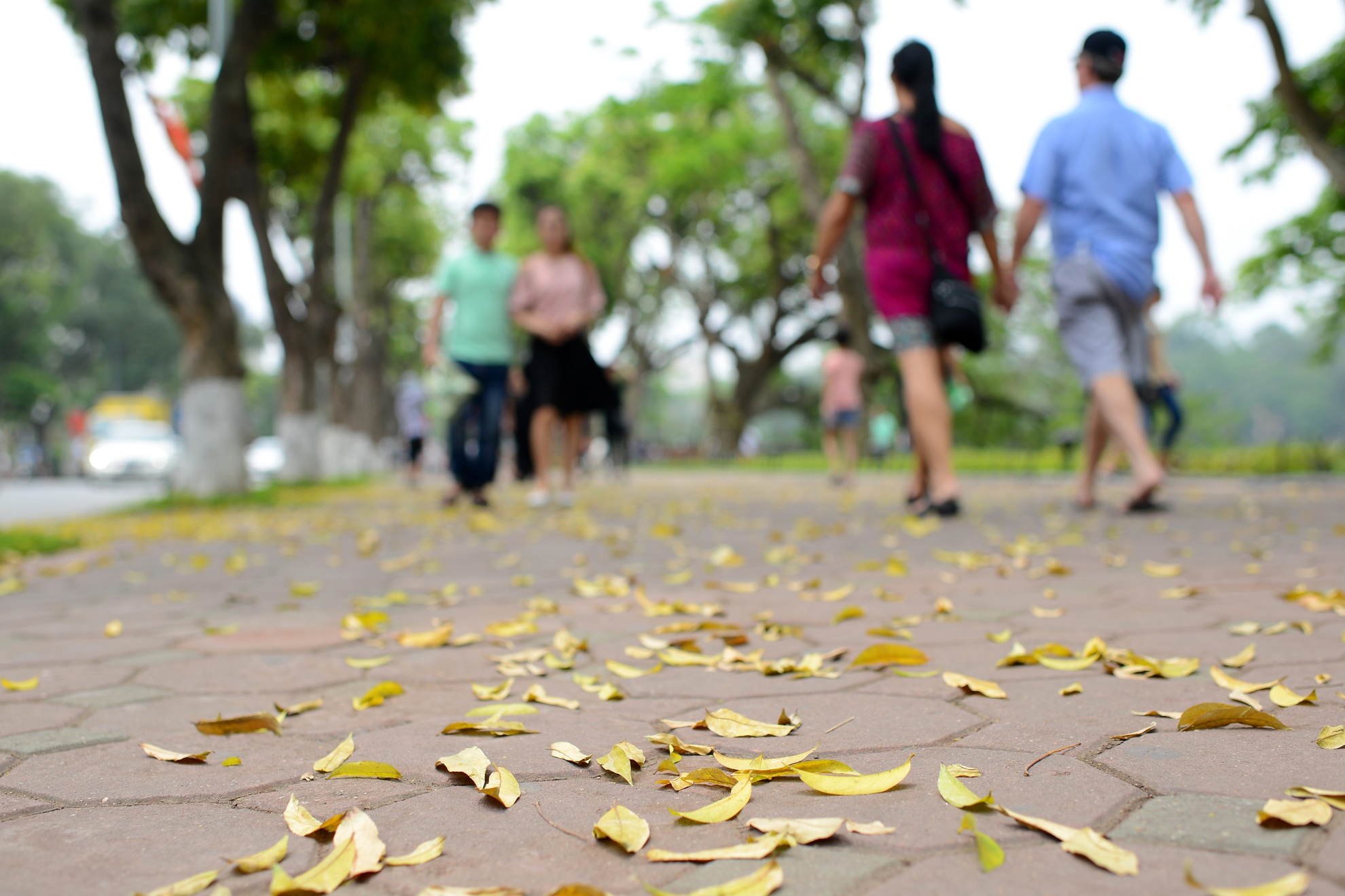 nguoi dan thanh thoi dao pho Ha Noi anh 5