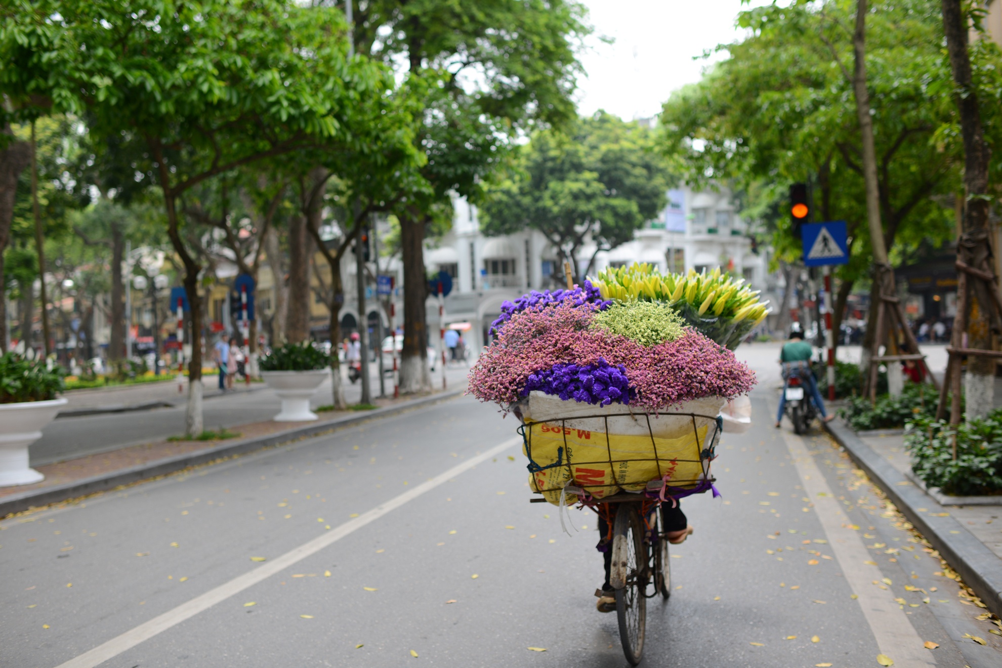 nguoi dan thanh thoi dao pho Ha Noi anh 2
