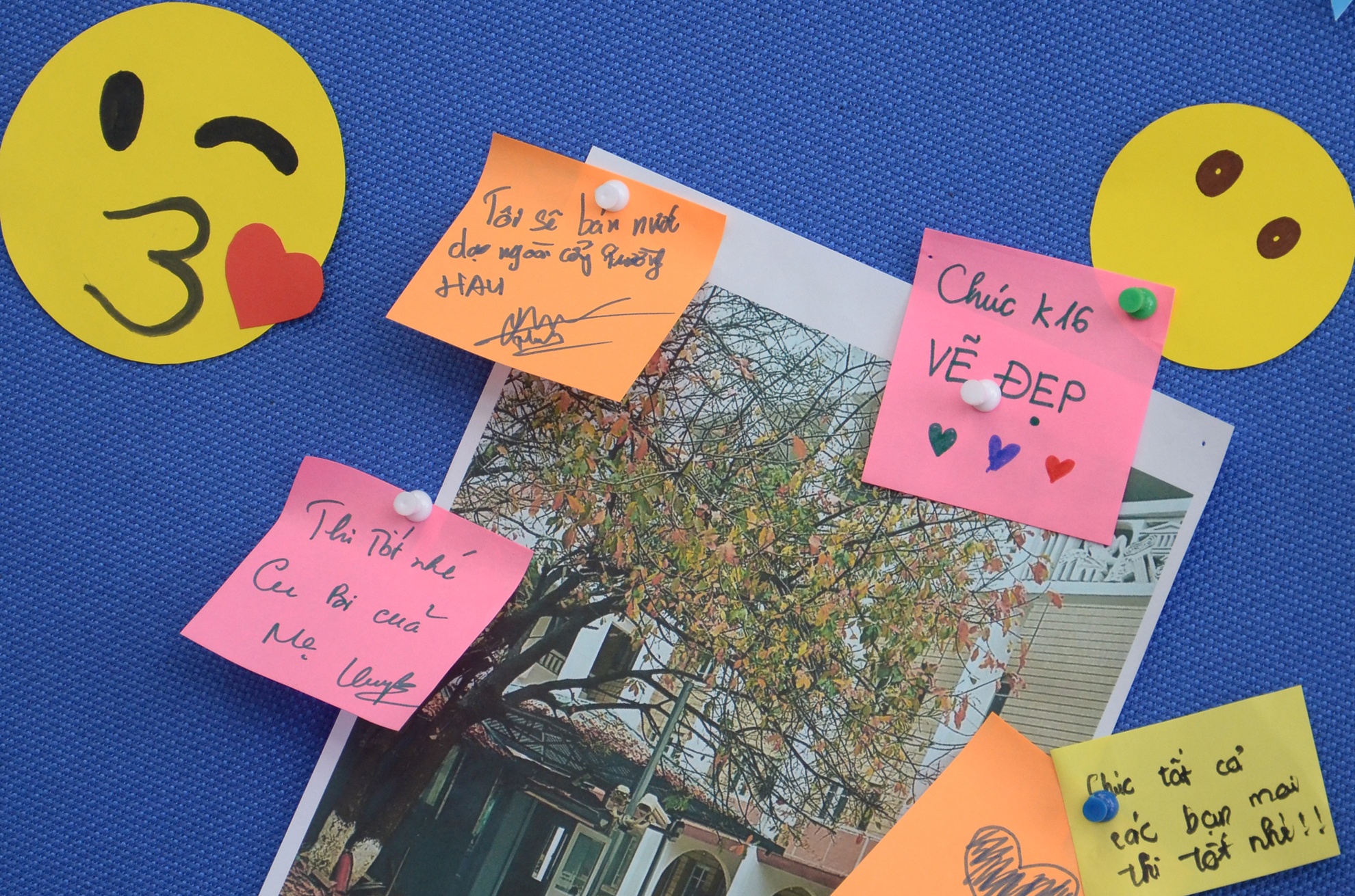 thi sinh linh kinh thi nang khieu. anh 12