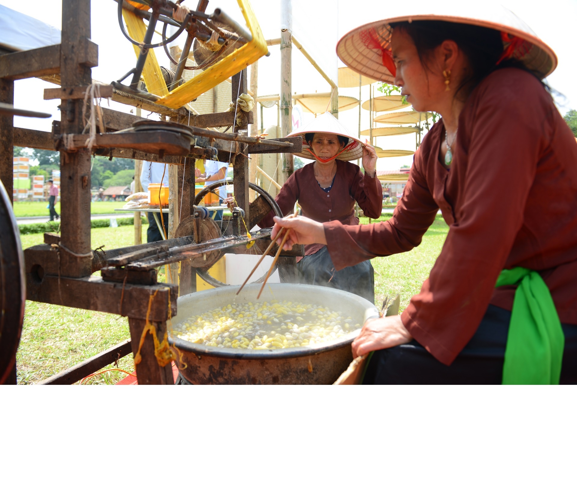 San xuat lua Ha Dong tai Hoang thanh Thang Long hinh anh