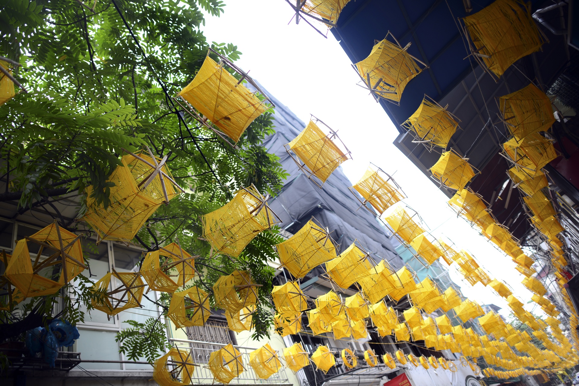 Pho lua Dao Duy Tu anh 6