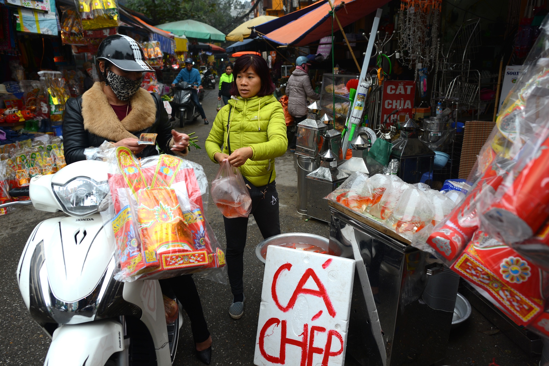 chuan bi do le cung ong Tao anh 2