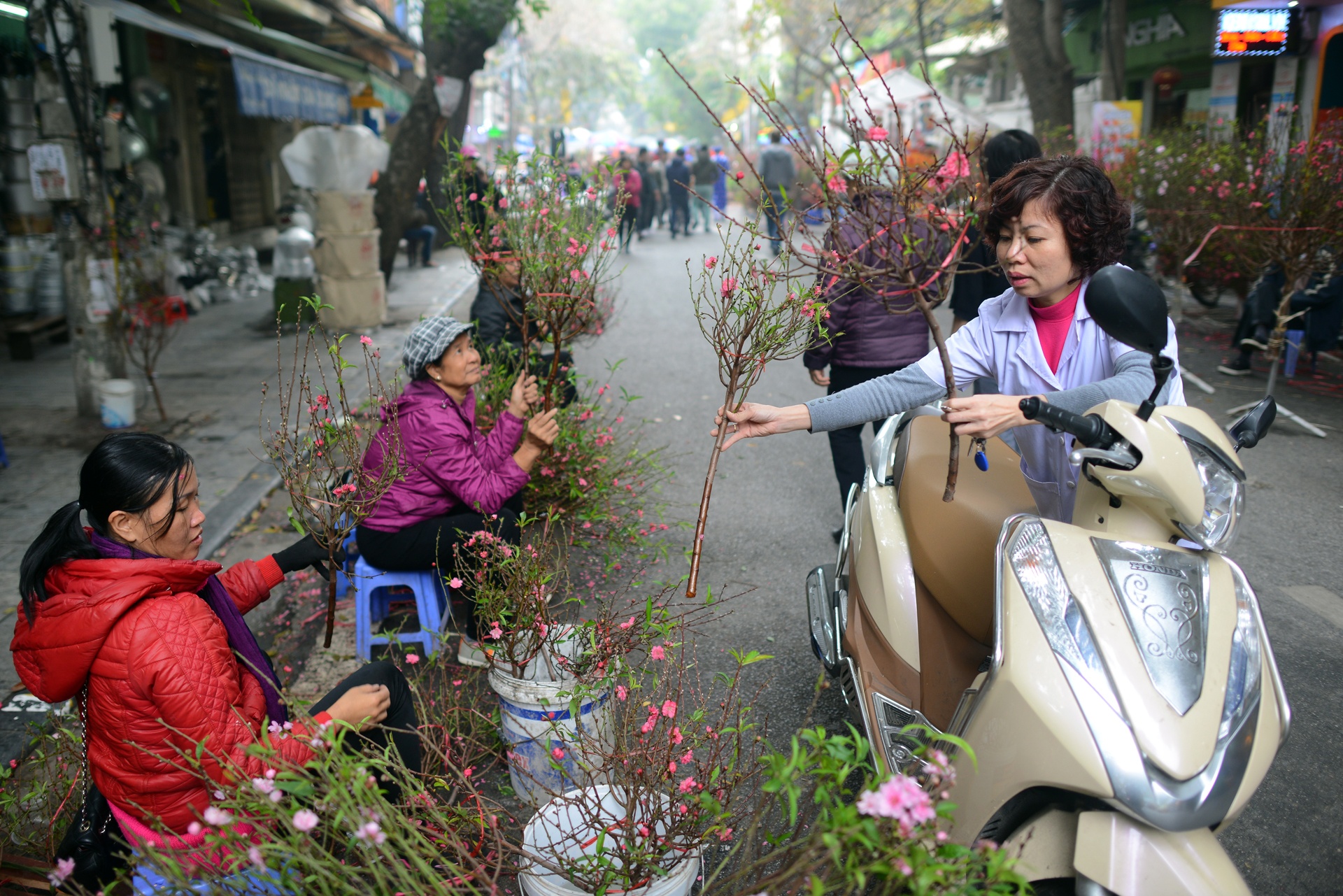 chuan bi do le cung ong Tao anh 13