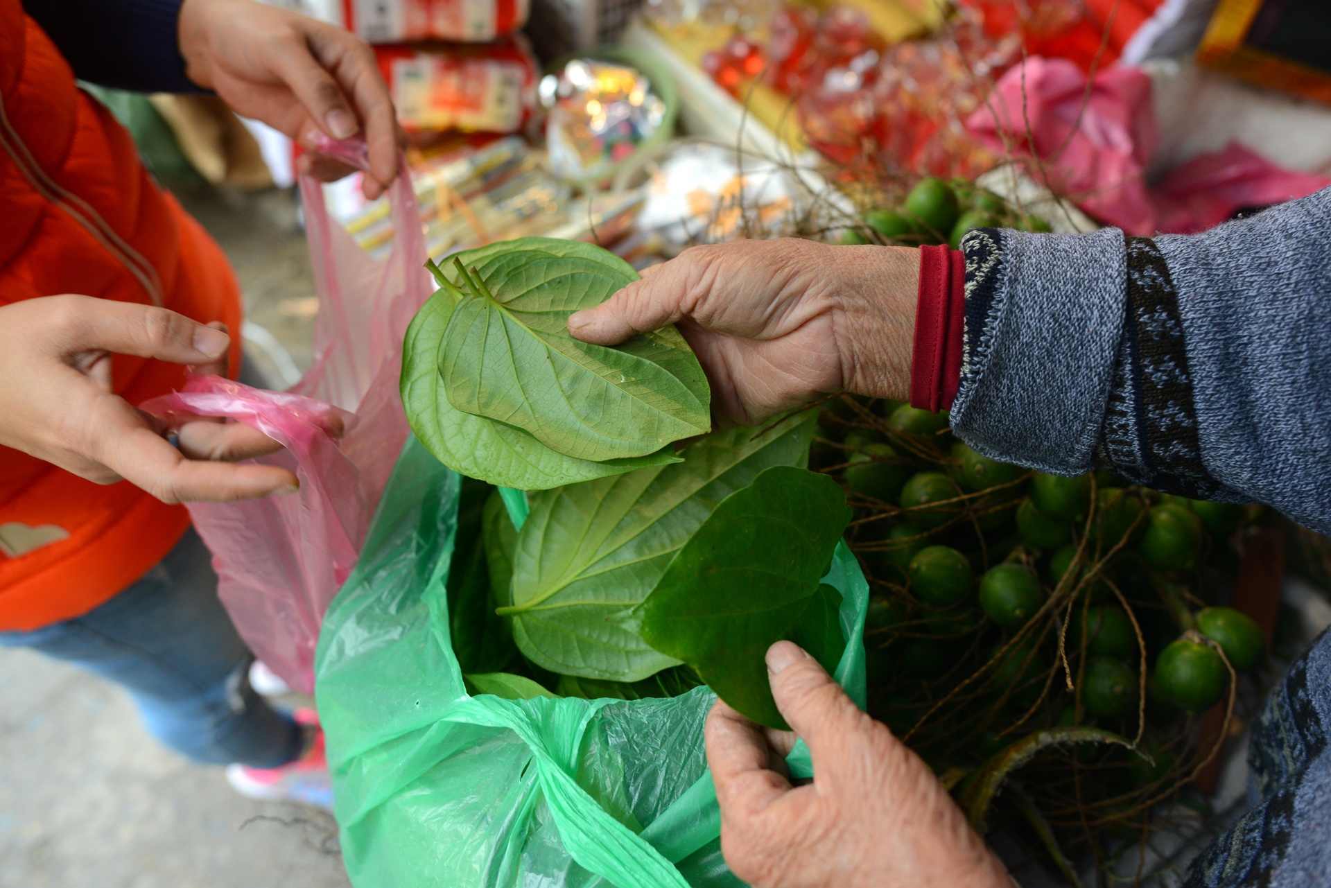 chuan bi do le cung ong Tao anh 7