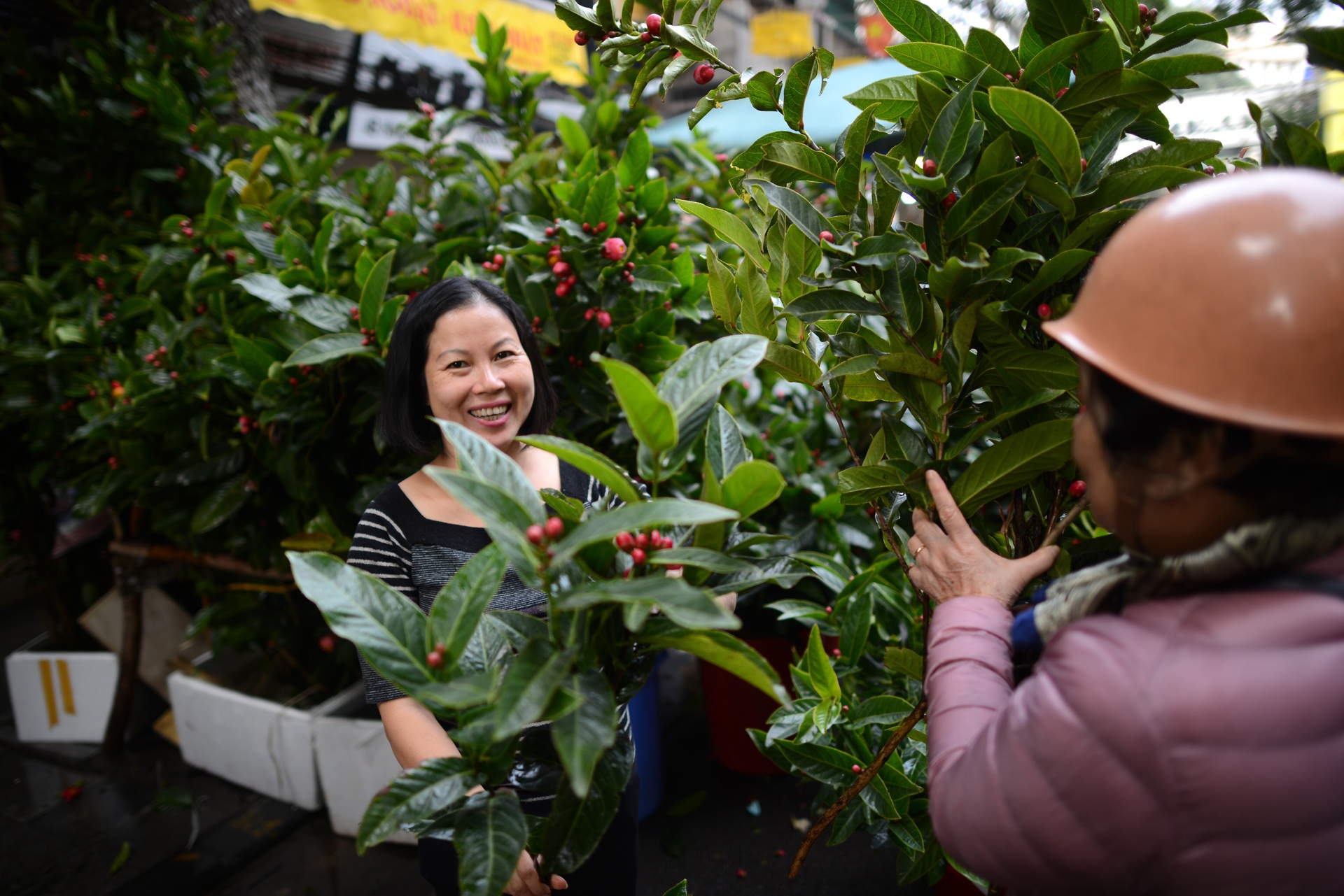 cap linh vat ga gia 35 trieu dong anh 8