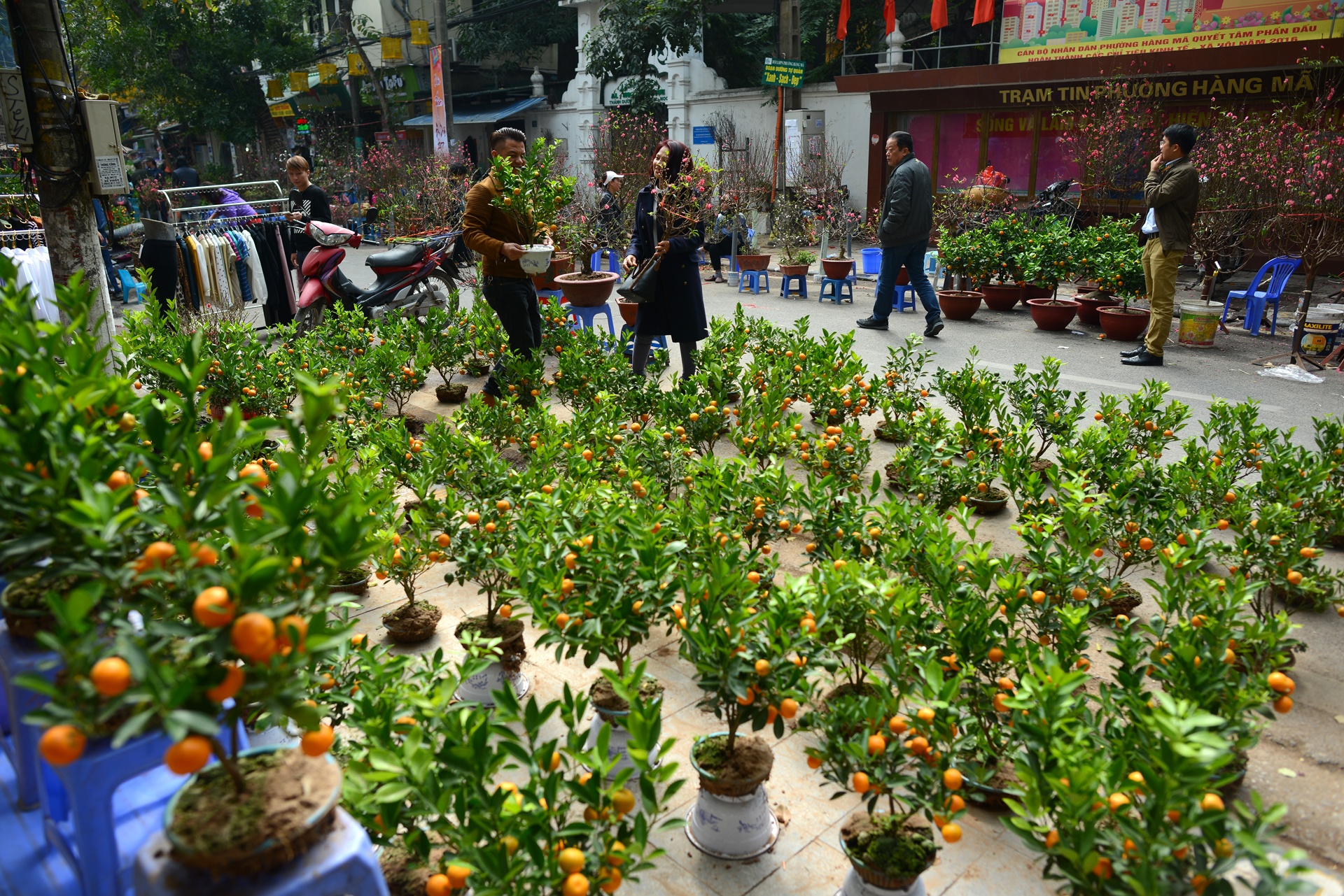 cap linh vat ga gia 35 trieu dong anh 13