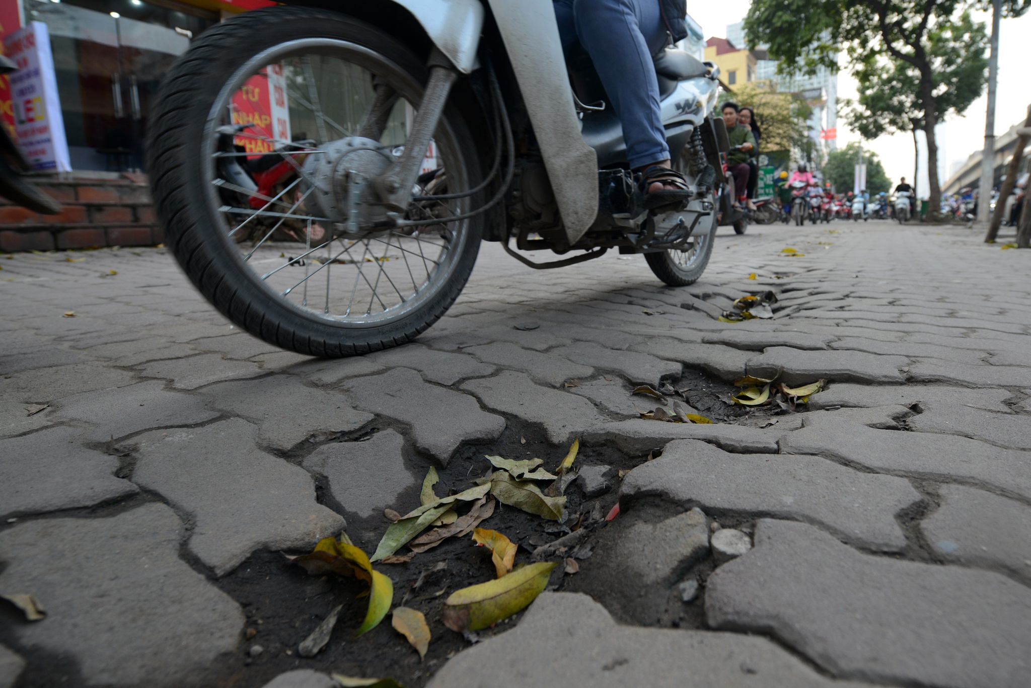 xe may cay nat via he Ha Noi anh 12