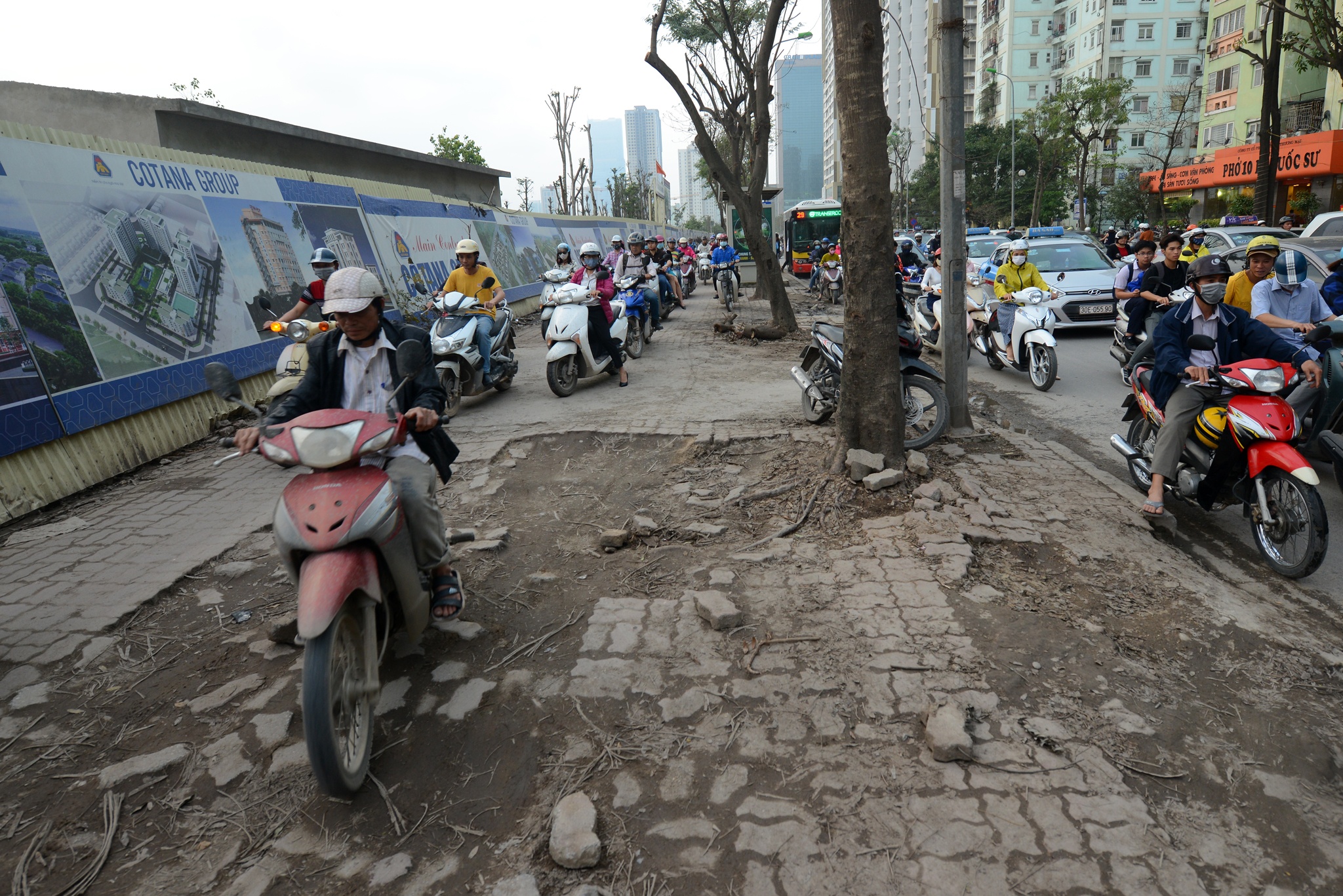 xe may cay nat via he Ha Noi anh 8