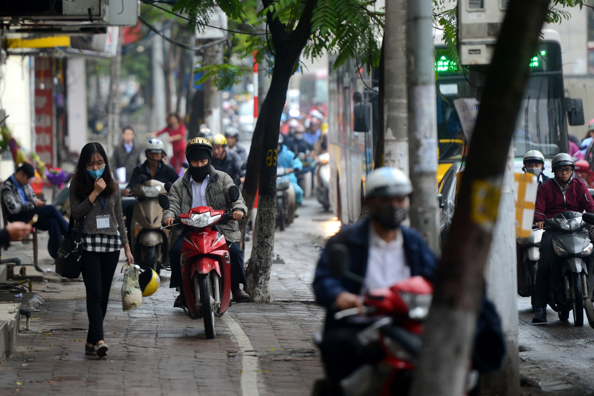 xe may cay nat via he Ha Noi anh 2