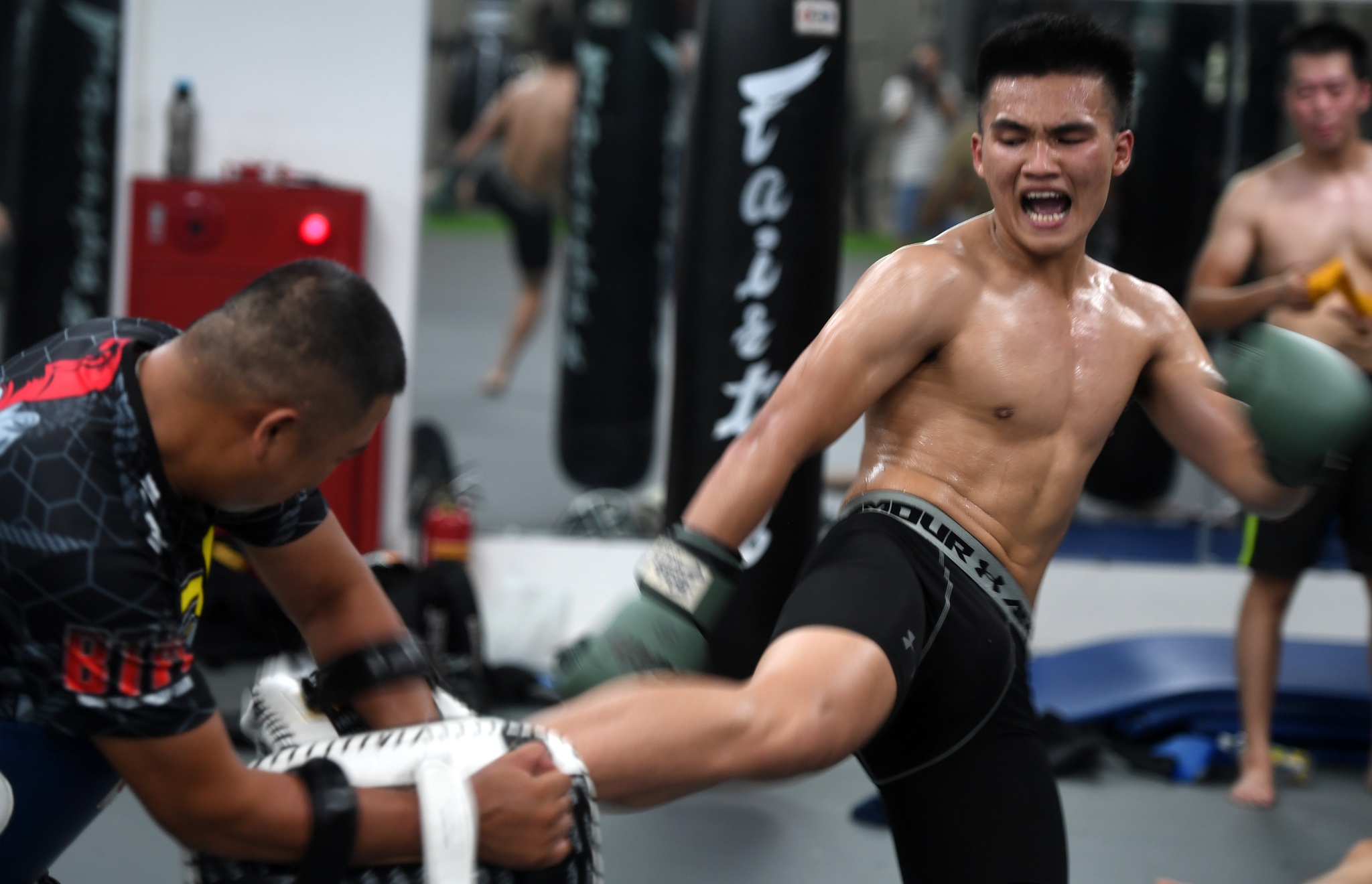 Kham pha lo vo tong hop MMA hang dau Ha Noi hinh anh