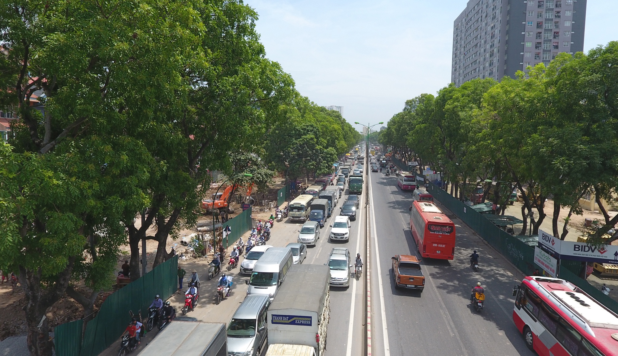 Can canh hang cay xanh sap bi chat ha tren duong Pham Van Dong hinh anh