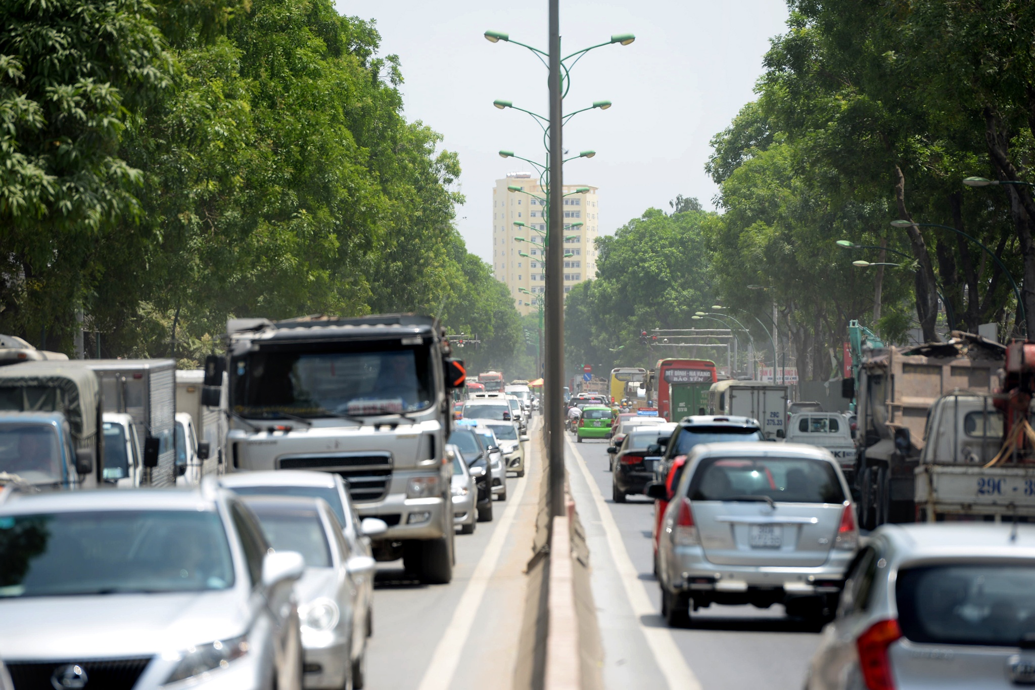 chat ha 1.300 cay xanh o Ha Noi anh 5