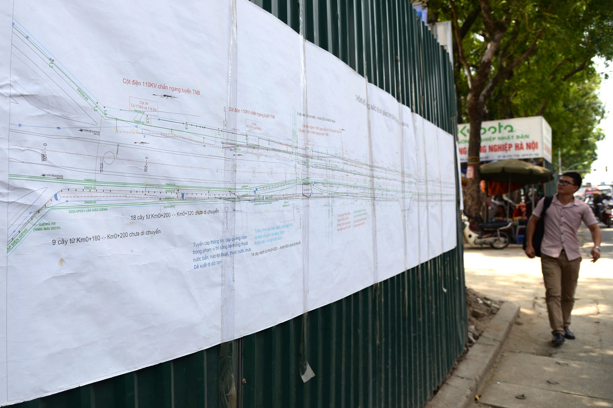 chat ha 1.300 cay xanh o Ha Noi anh 6