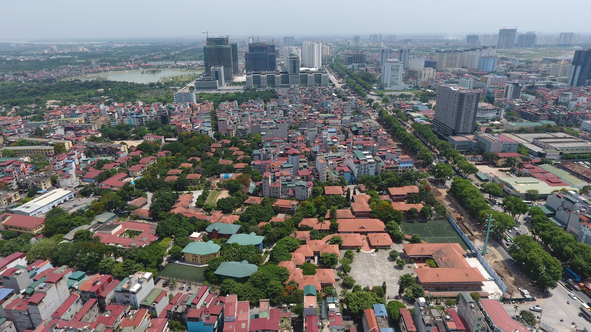 chat ha 1.300 cay xanh o Ha Noi anh 3