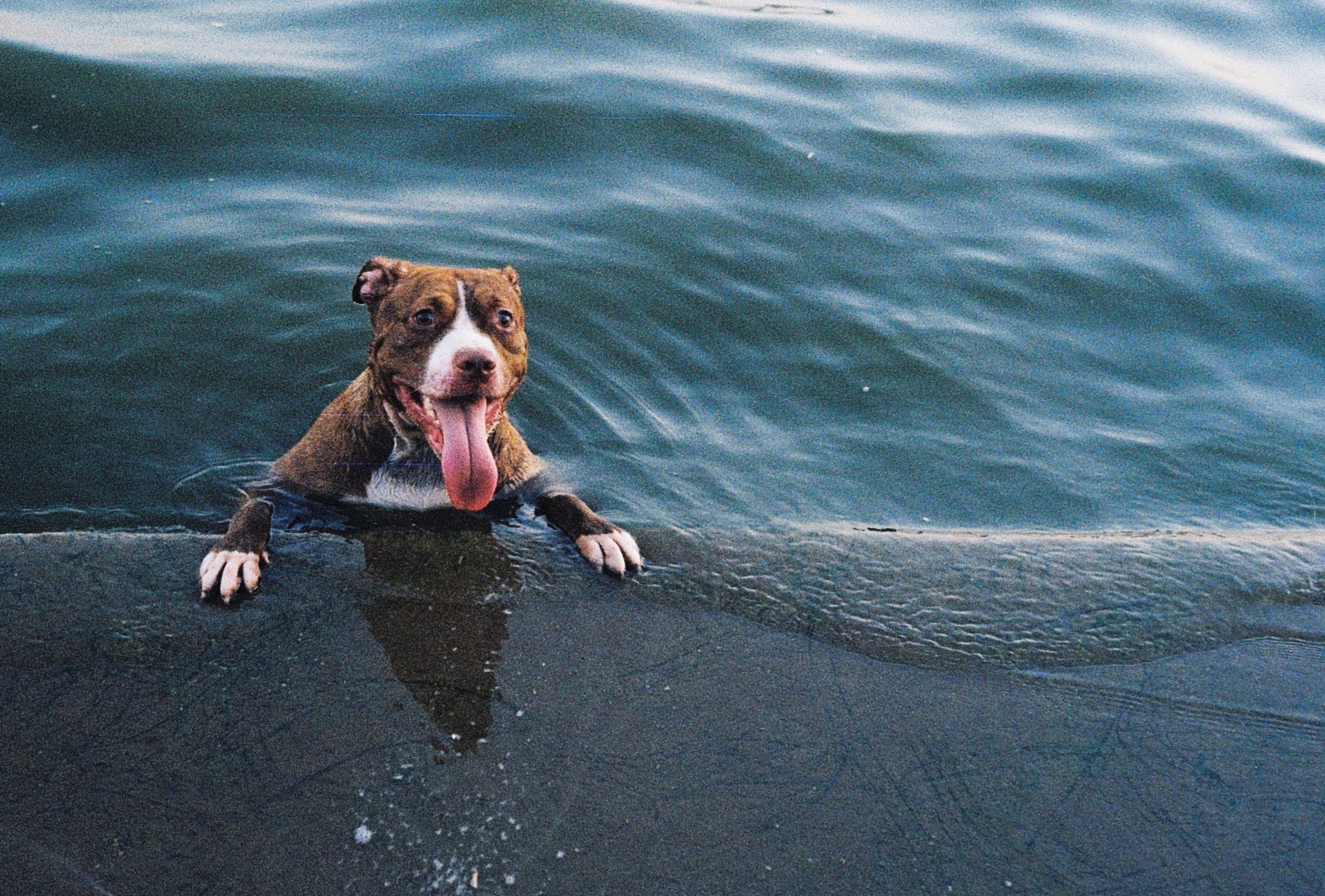 nang nong ky luc o Ha Noi anh 19
