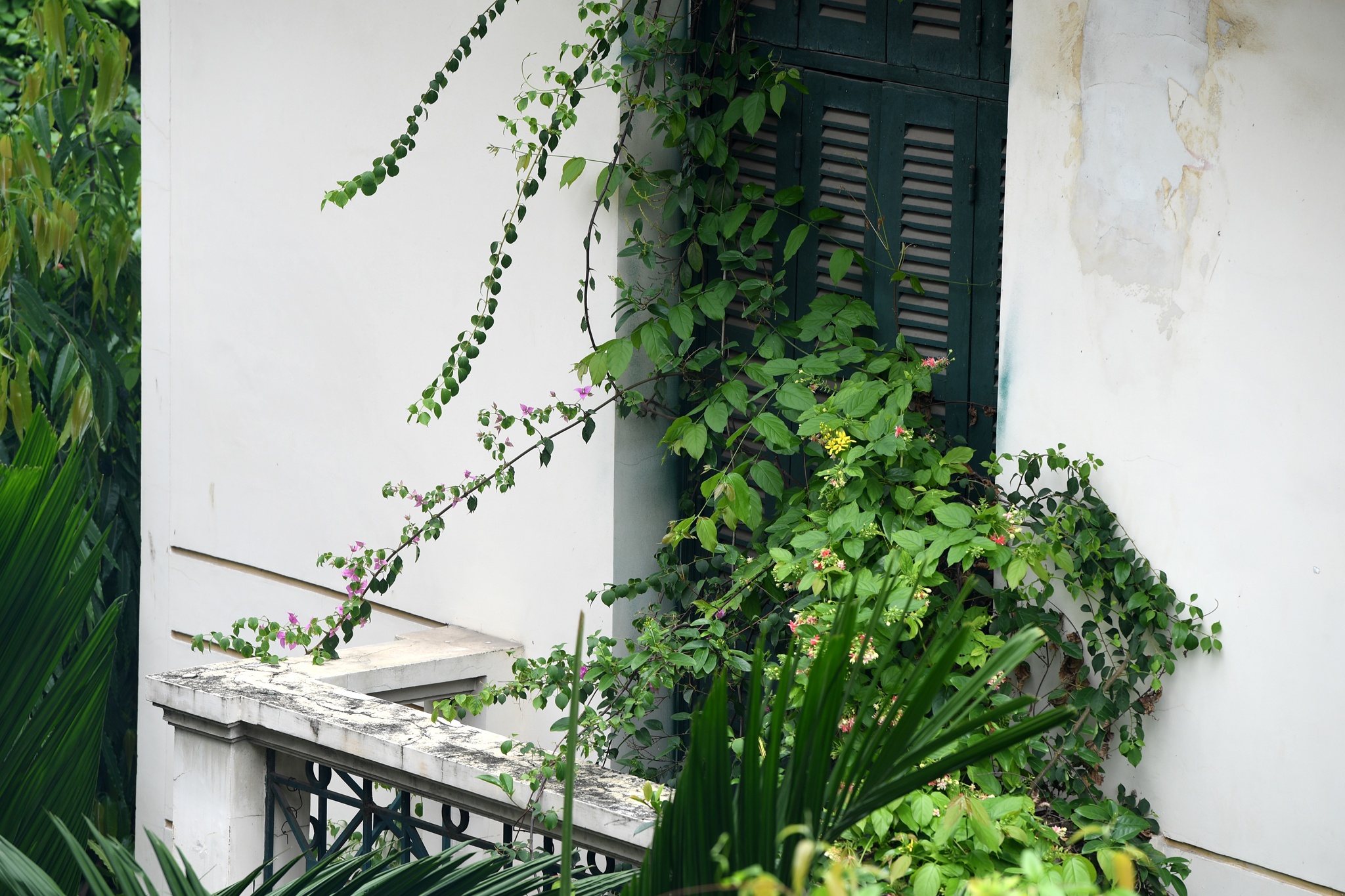 nha cuu chu tich thanh pho Ha Noi bo hoang anh 17