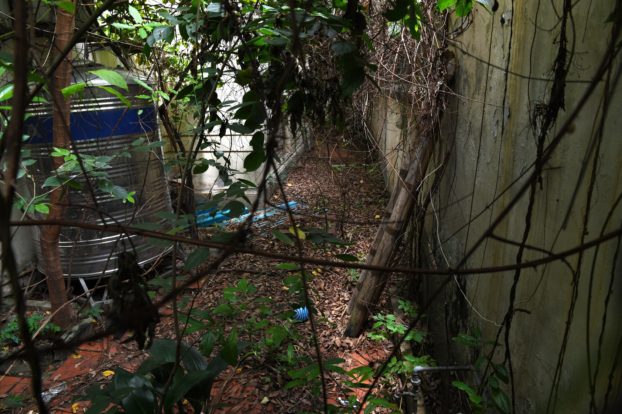 nha cuu chu tich thanh pho Ha Noi bo hoang anh 16