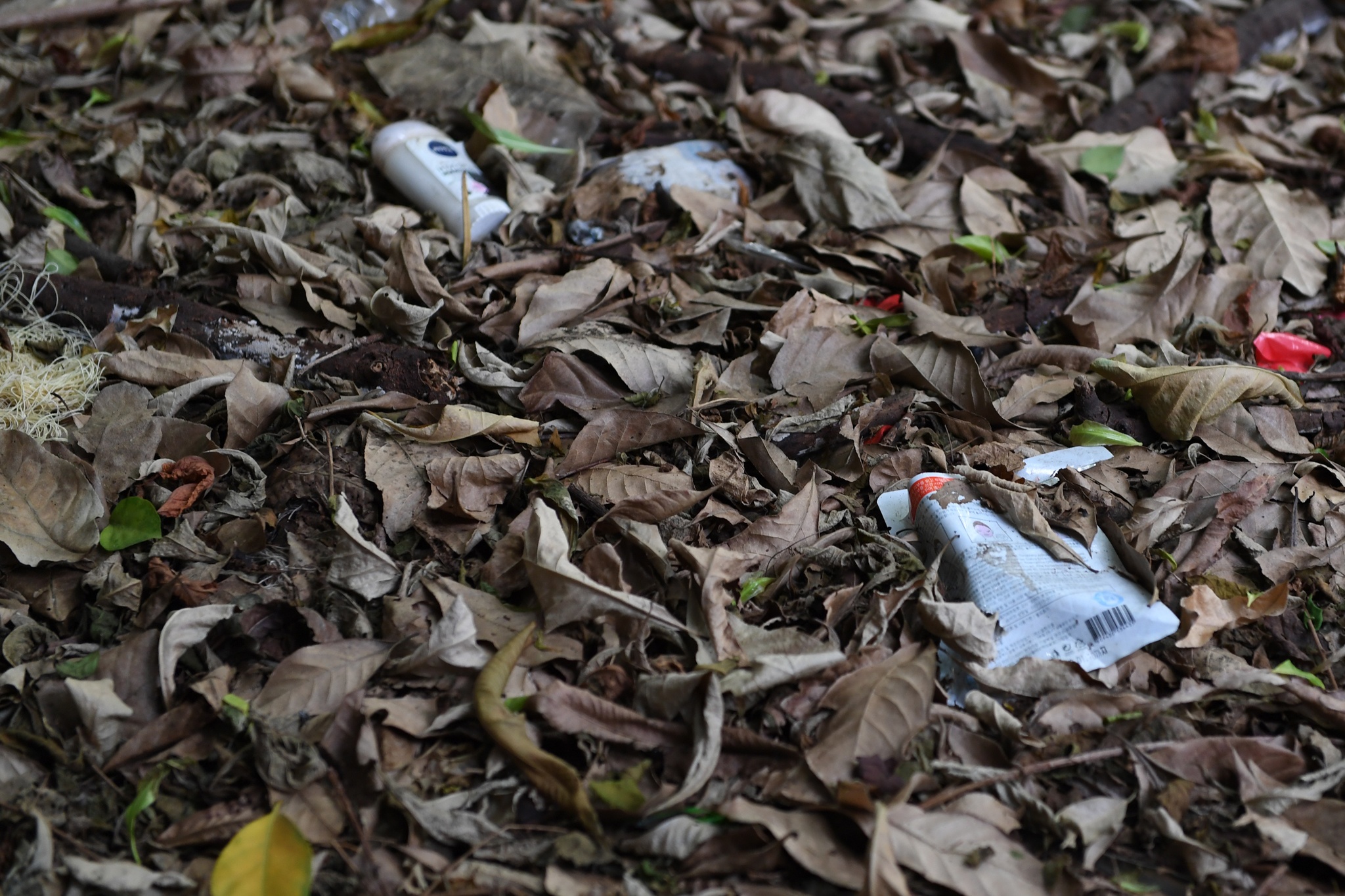 nha cuu chu tich thanh pho Ha Noi bo hoang anh 13