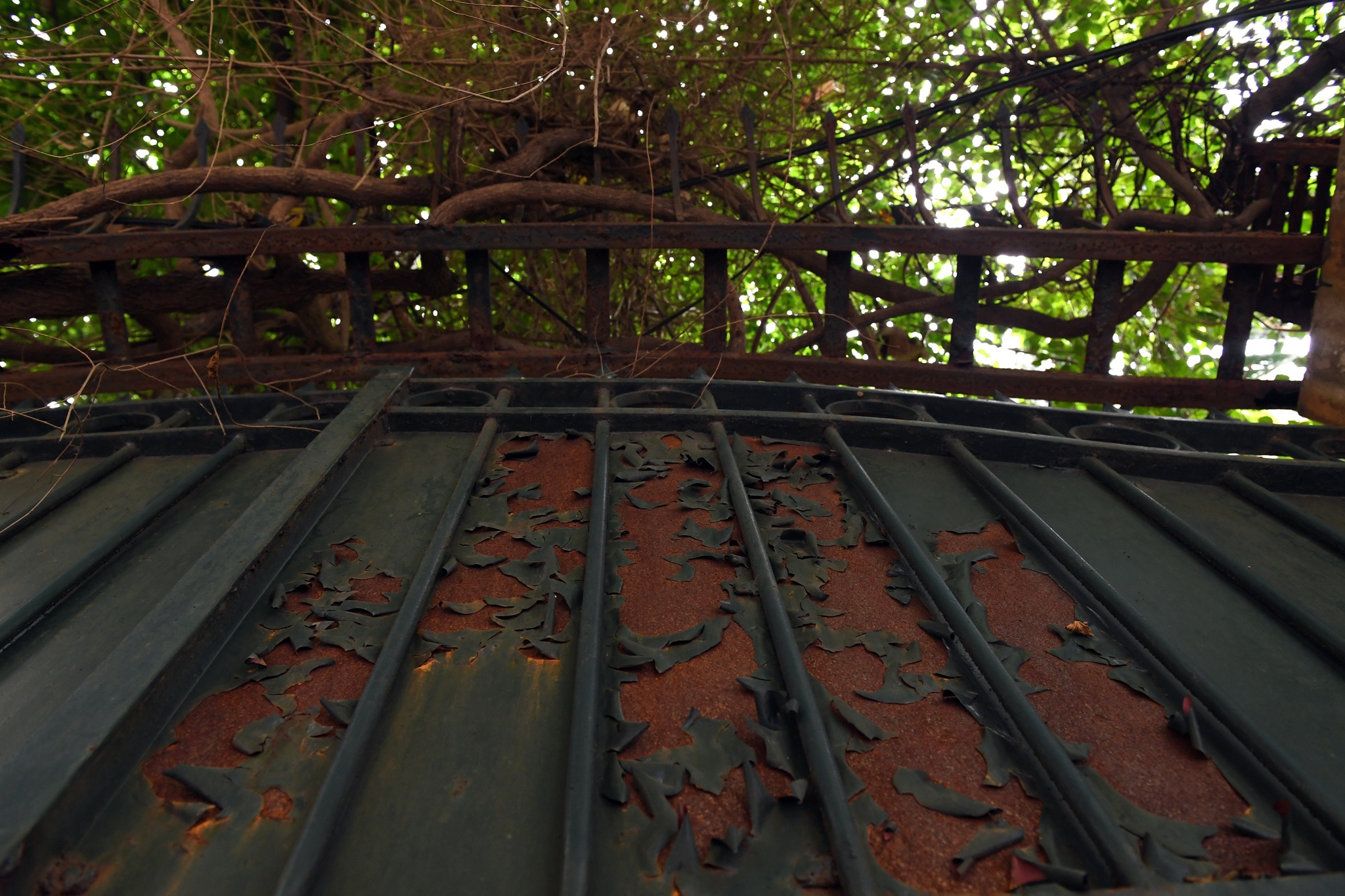 nha cuu chu tich thanh pho Ha Noi bo hoang anh 8