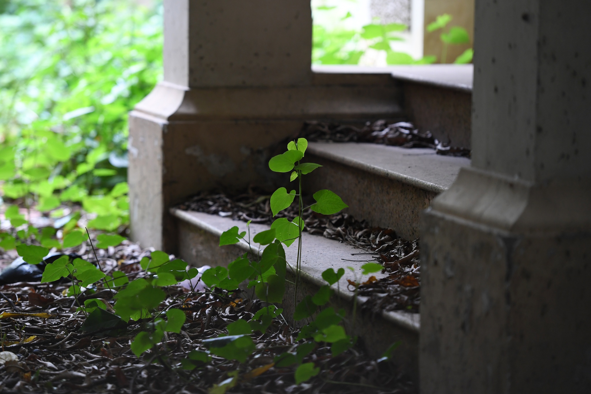 nha cuu chu tich thanh pho Ha Noi bo hoang anh 12