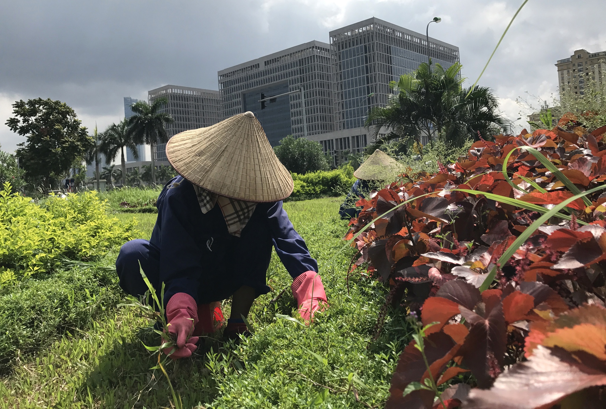 cong nhan cat co dai lo Thang Long anh 8