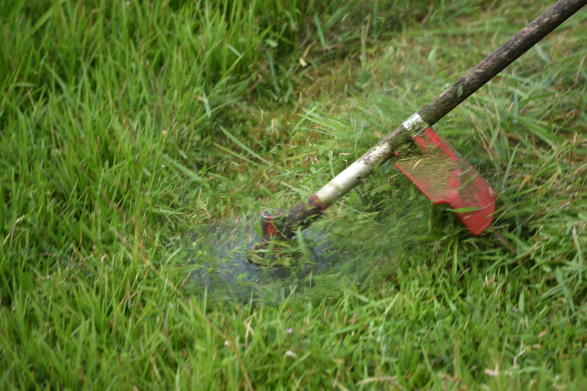 cong nhan cat co dai lo Thang Long anh 6