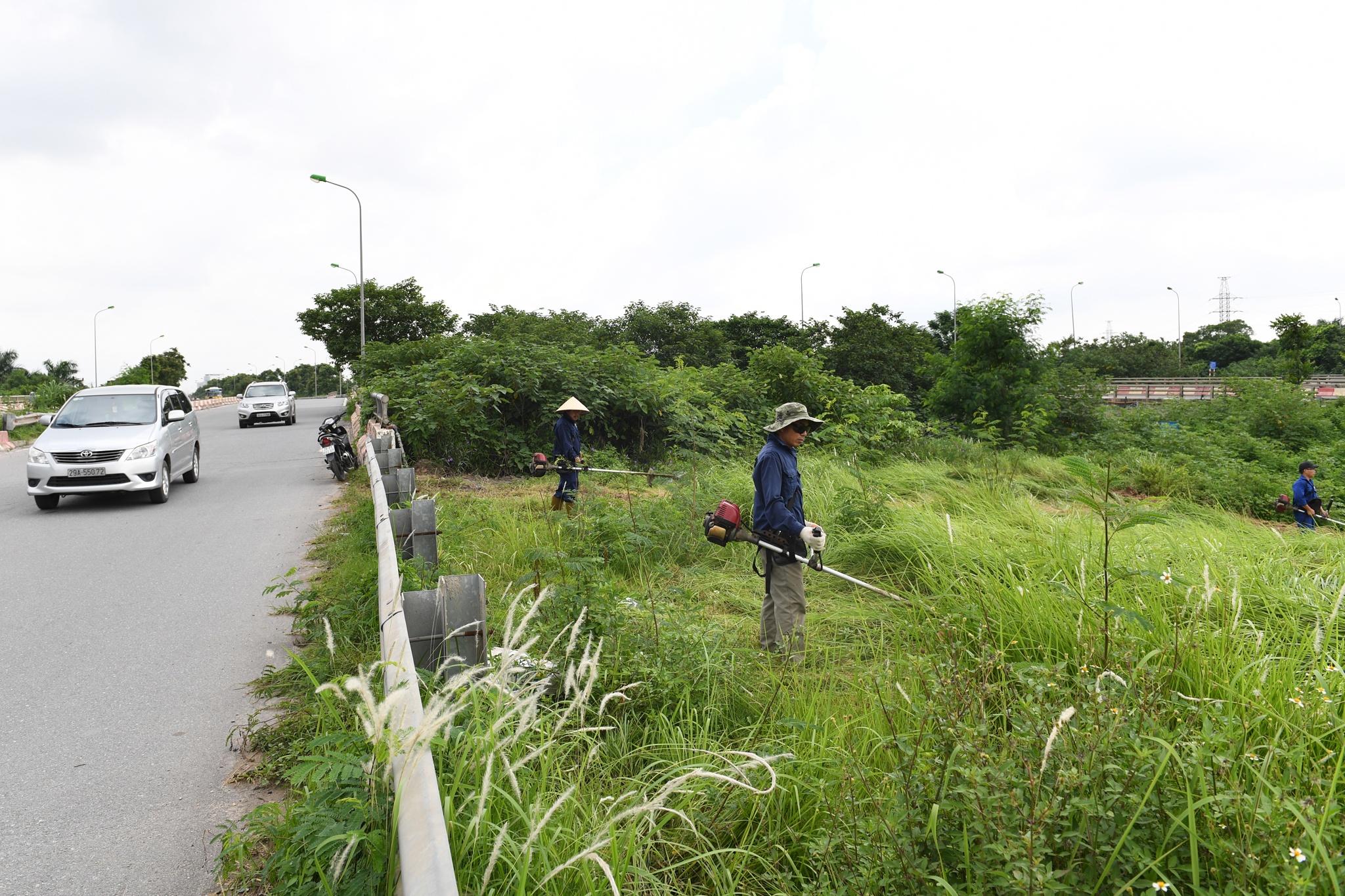 cong nhan cat co dai lo Thang Long anh 1