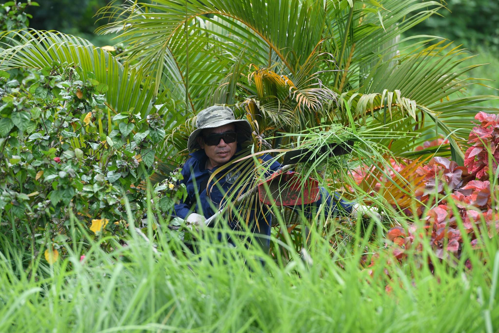 cong nhan cat co dai lo Thang Long anh 4