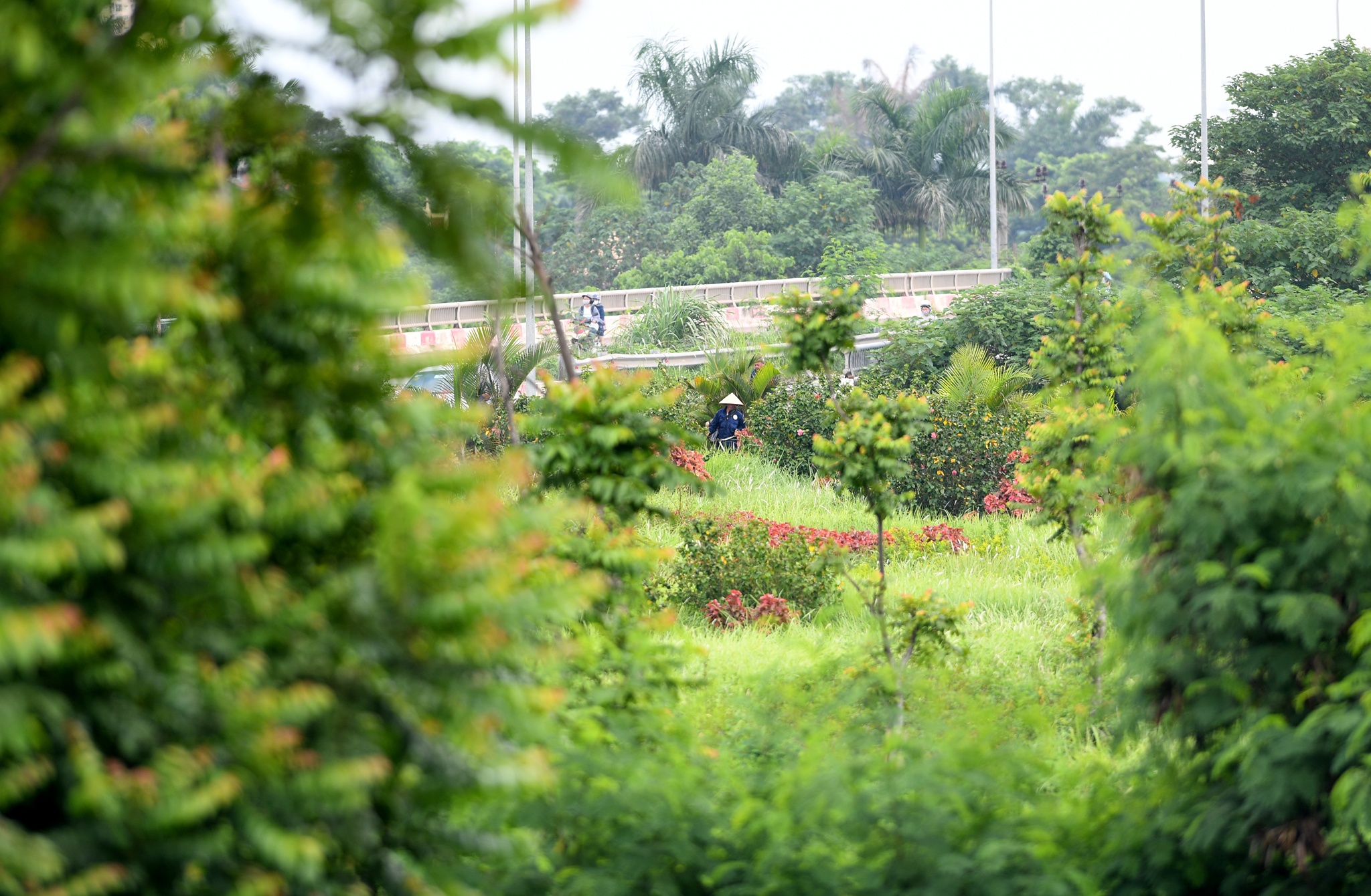 cong nhan cat co dai lo Thang Long anh 3