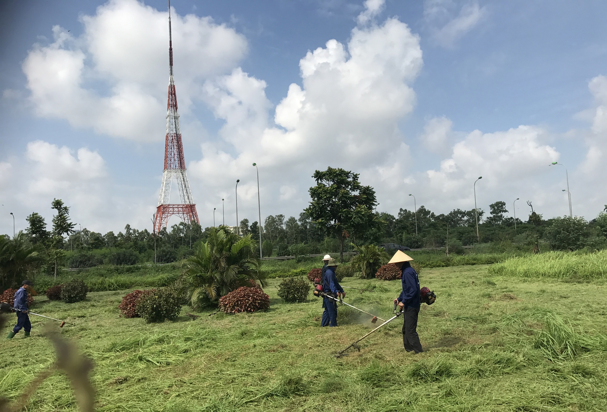 cong nhan cat co dai lo Thang Long anh 5