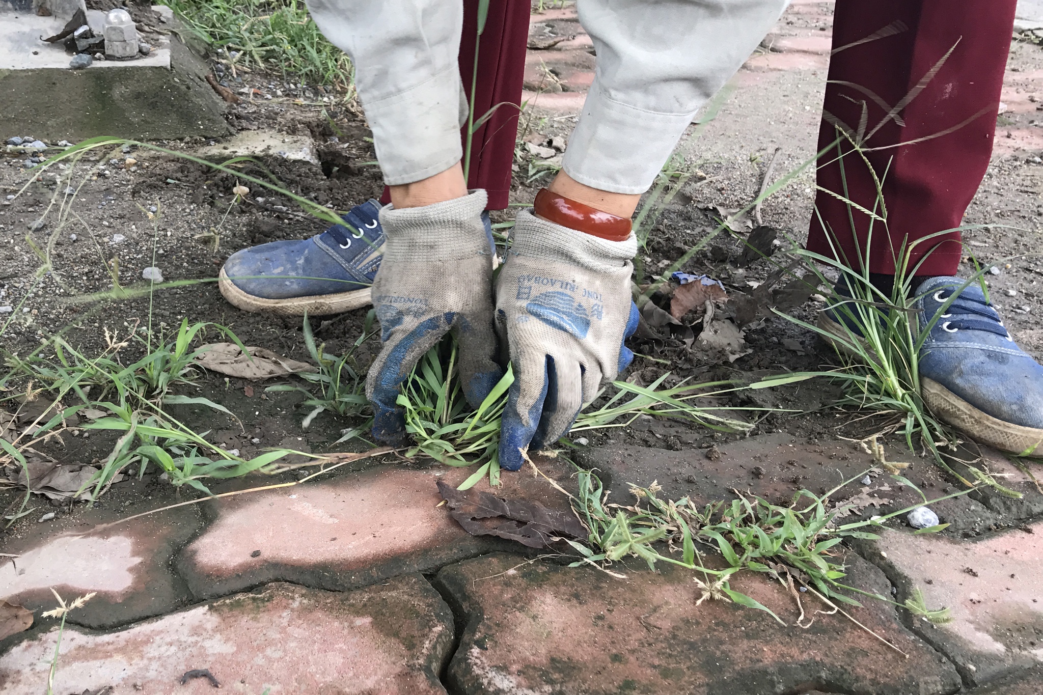 cong nhan cat co dai lo Thang Long anh 11