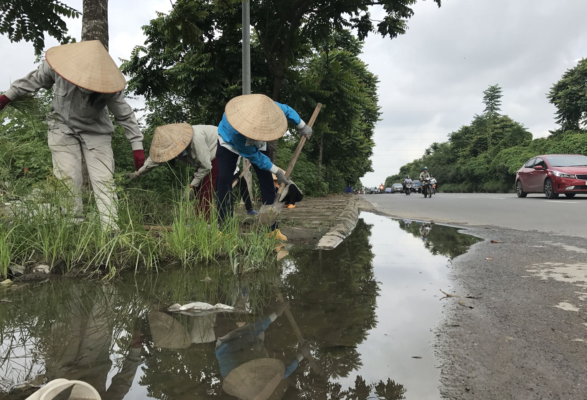 cong nhan cat co dai lo Thang Long anh 10