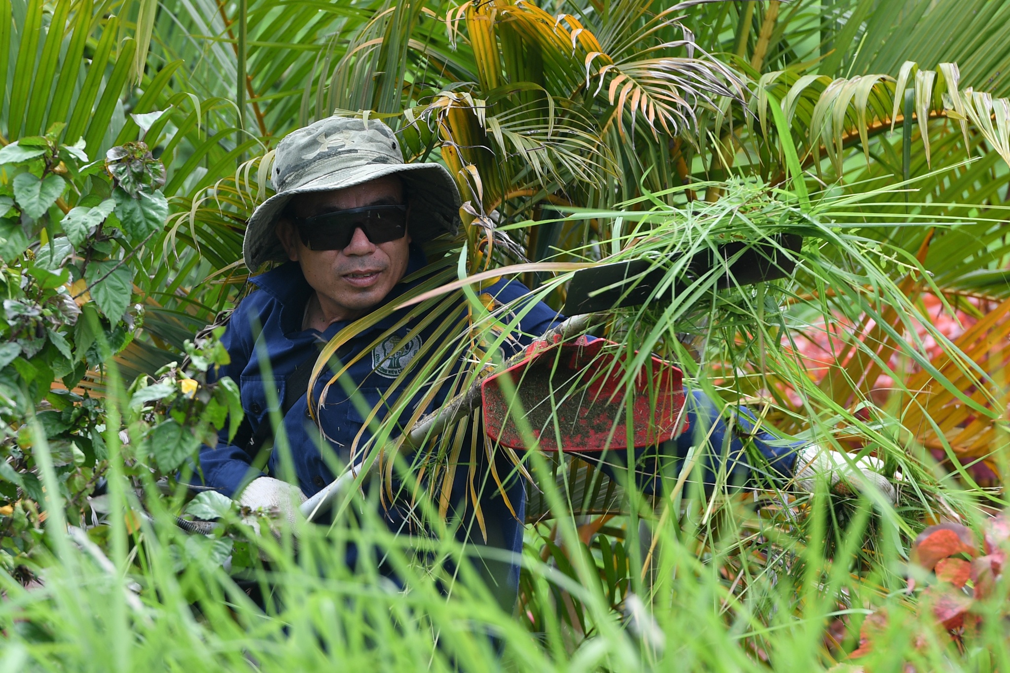 Cong nhan vat va dep 'rung' co o dai lo Thang Long hinh anh