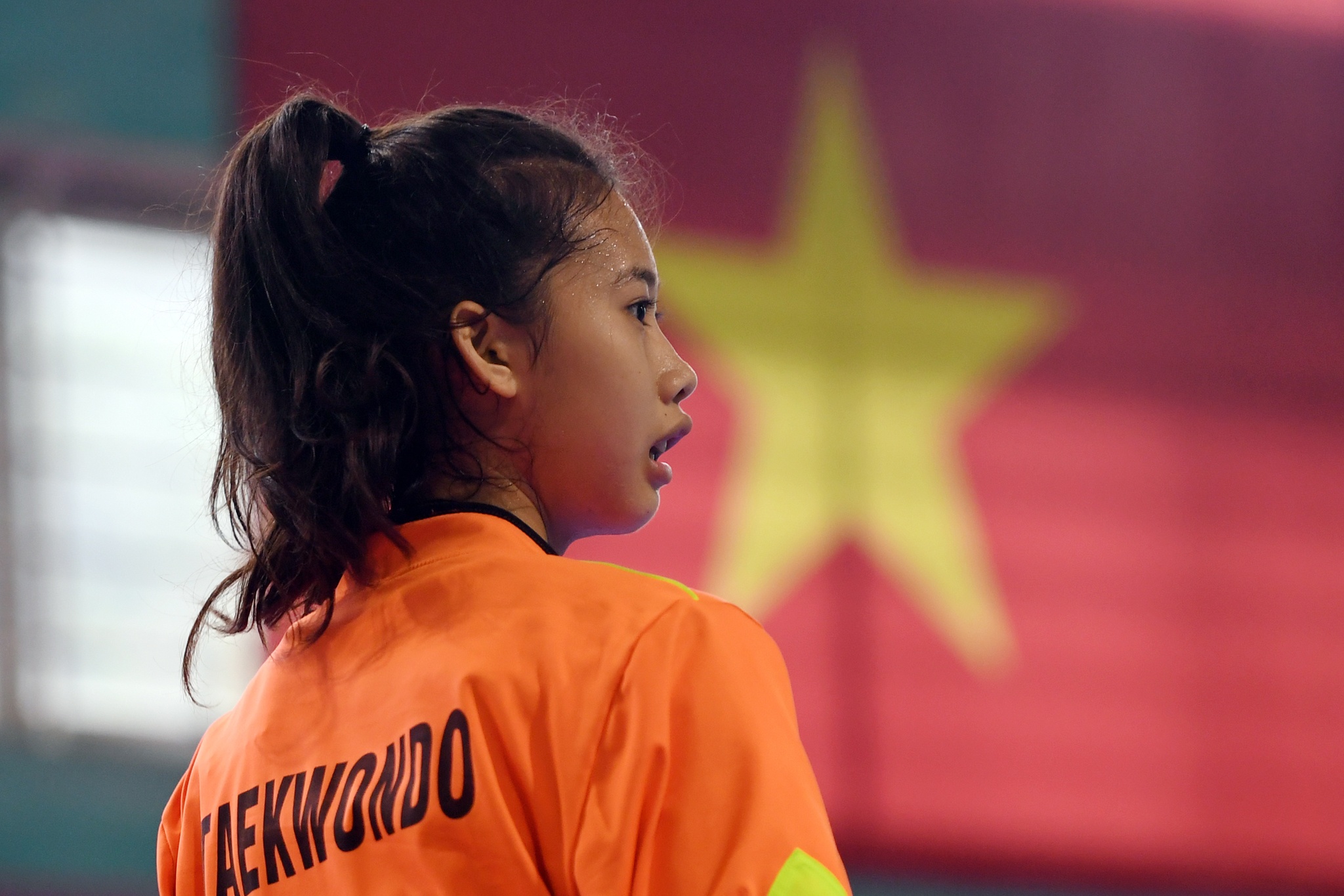 Cac doi tuyen vo Taekwondo va Silat cang suc tap luyen truoc SEA Games hinh anh