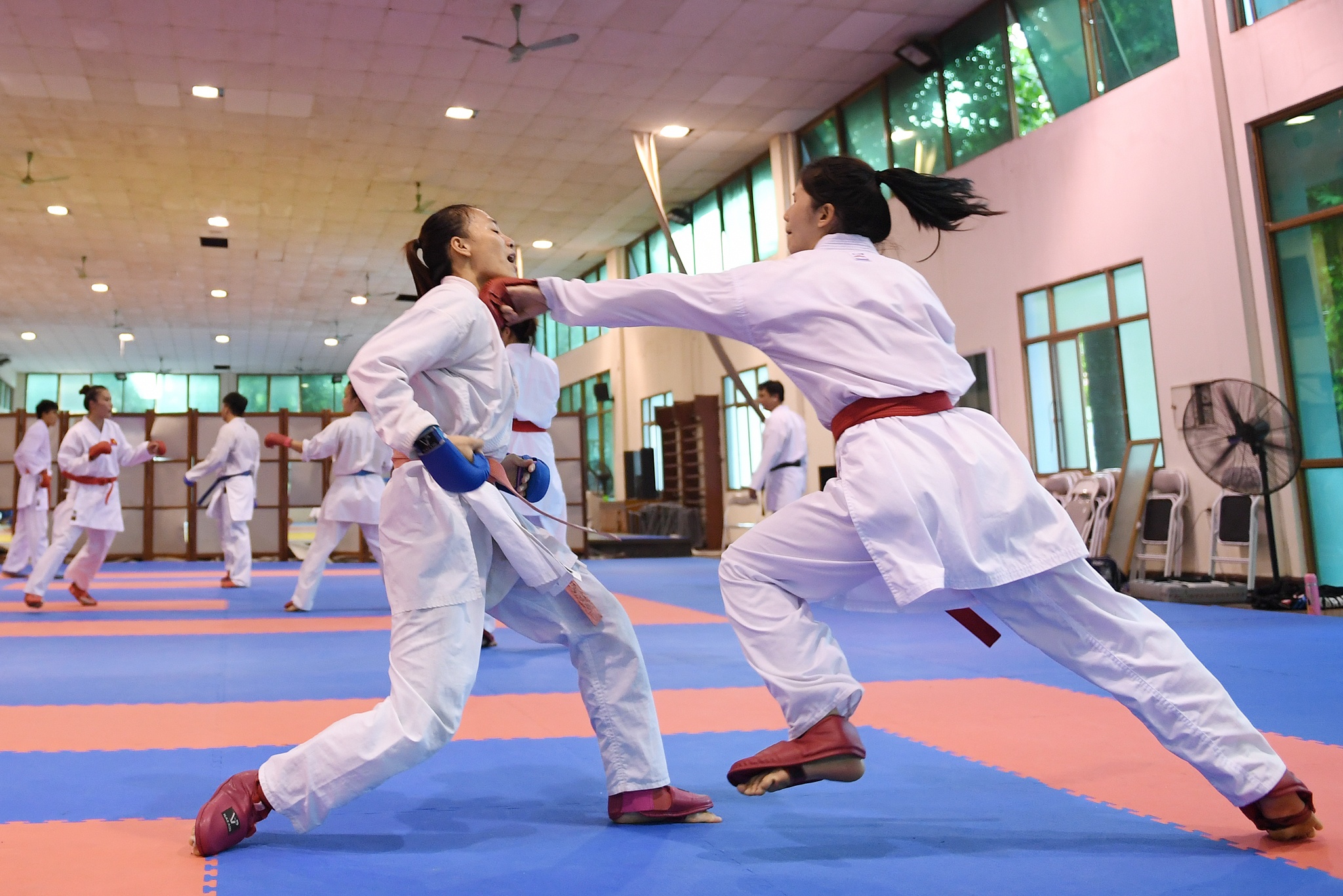 karatedo Viet Nam gat vang tai SEA Games anh 10