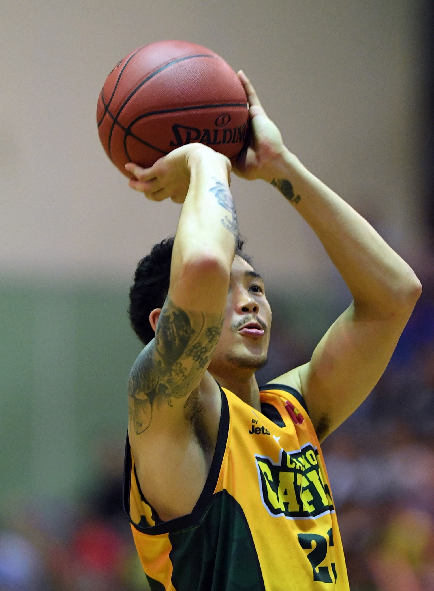 can tho catfish vui dap ha noi buffaloes anh 20