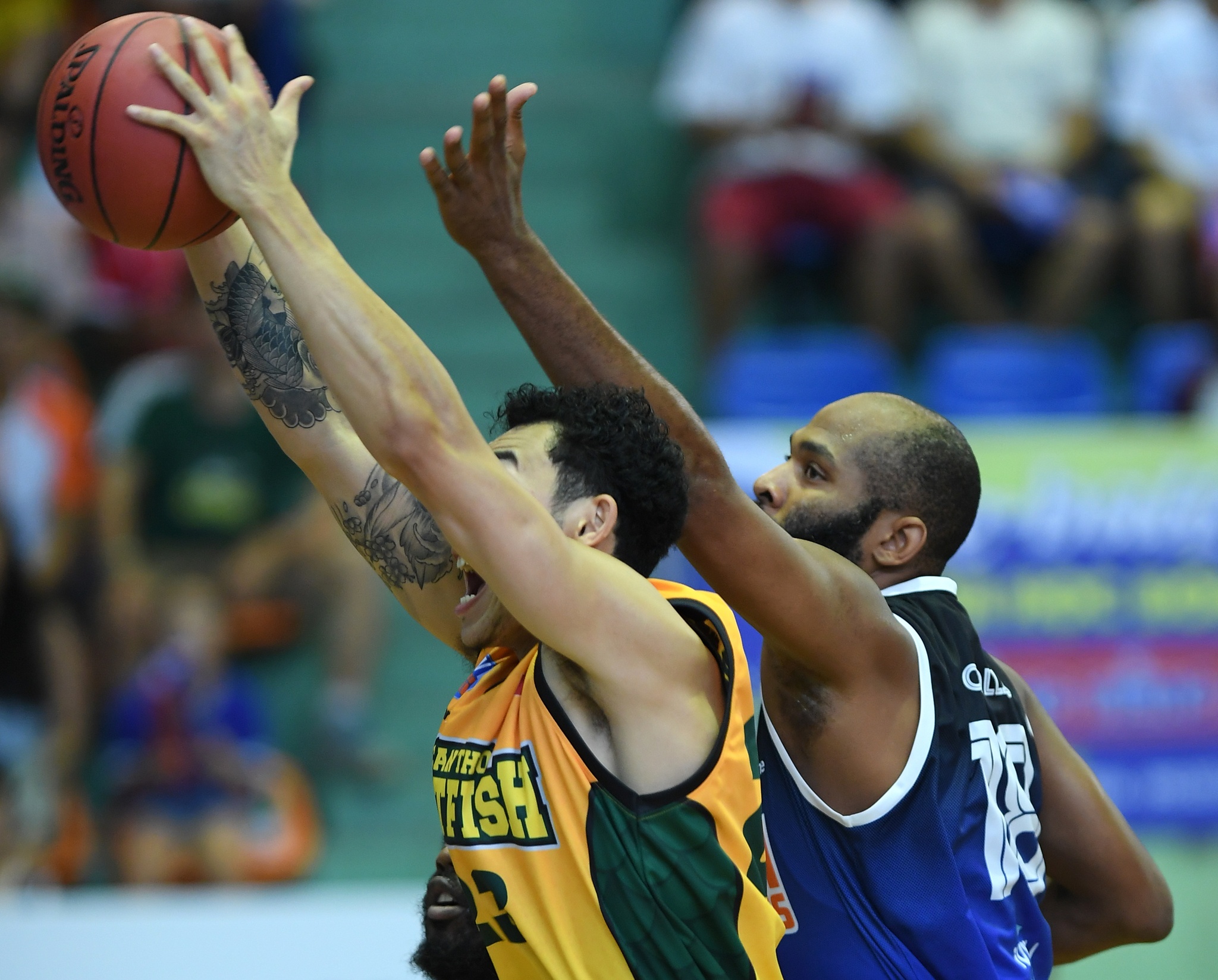 can tho catfish vui dap ha noi buffaloes anh 19