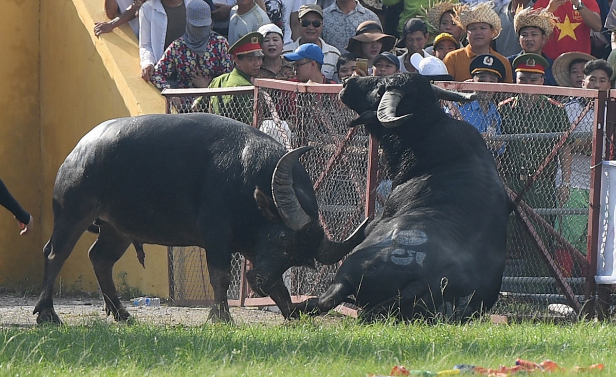 Trau choi Do Son quyet chien sau su co o vong loai hinh anh