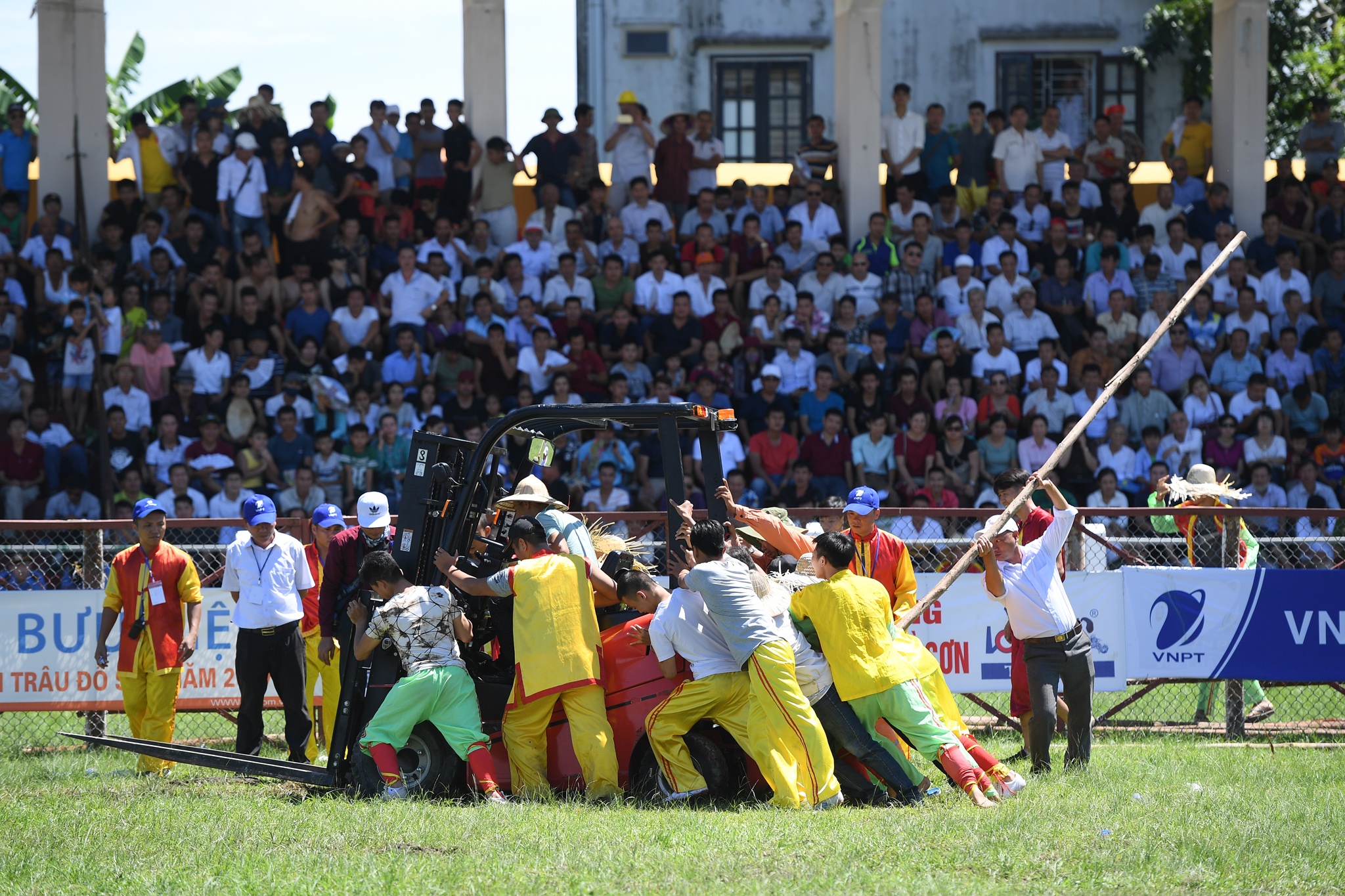 tinh huong bi hai le hoi choi trau anh 10