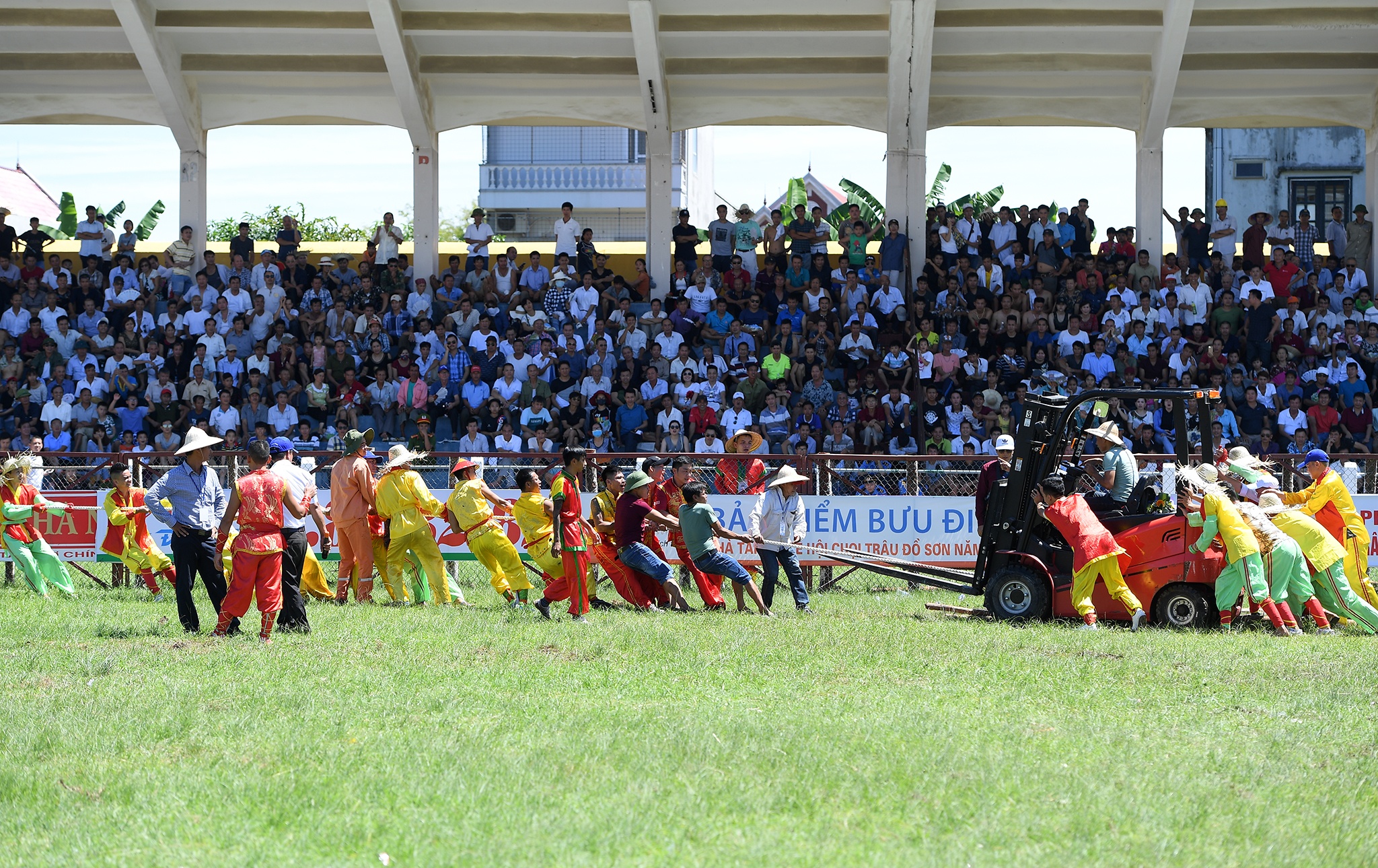 tinh huong bi hai le hoi choi trau anh 11