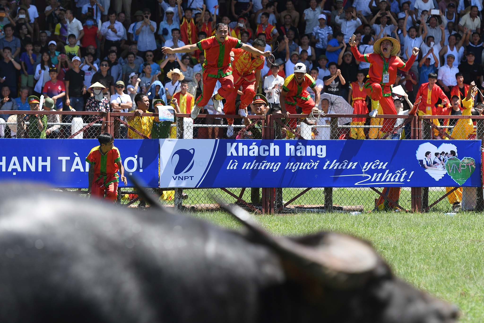 tinh huong bi hai le hoi choi trau anh 17